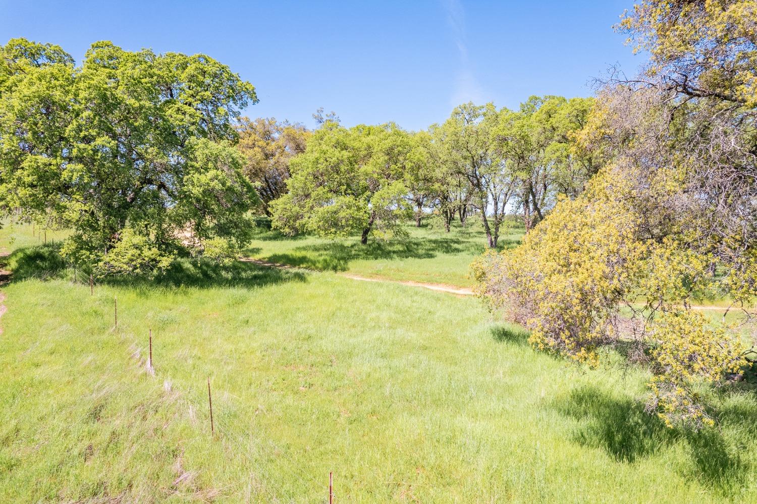 Detail Gallery Image 57 of 70 For 15215 Willow Creek Rd, Plymouth,  CA 95669 - 3 Beds | 3 Baths