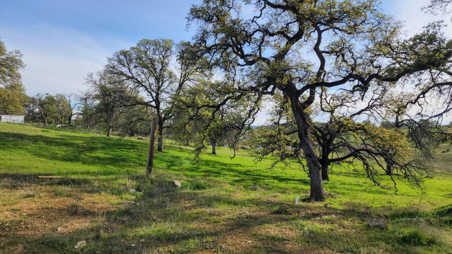 Briarwood Lane, Wheatland, California image 17