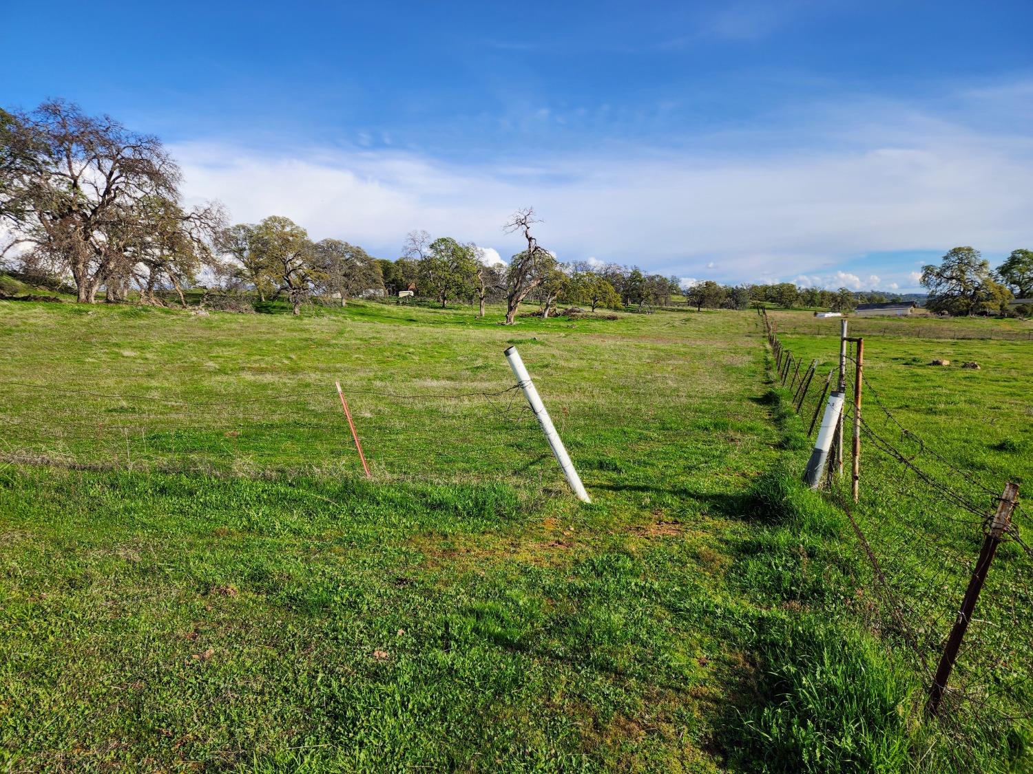 Briarwood Lane, Wheatland, California image 14