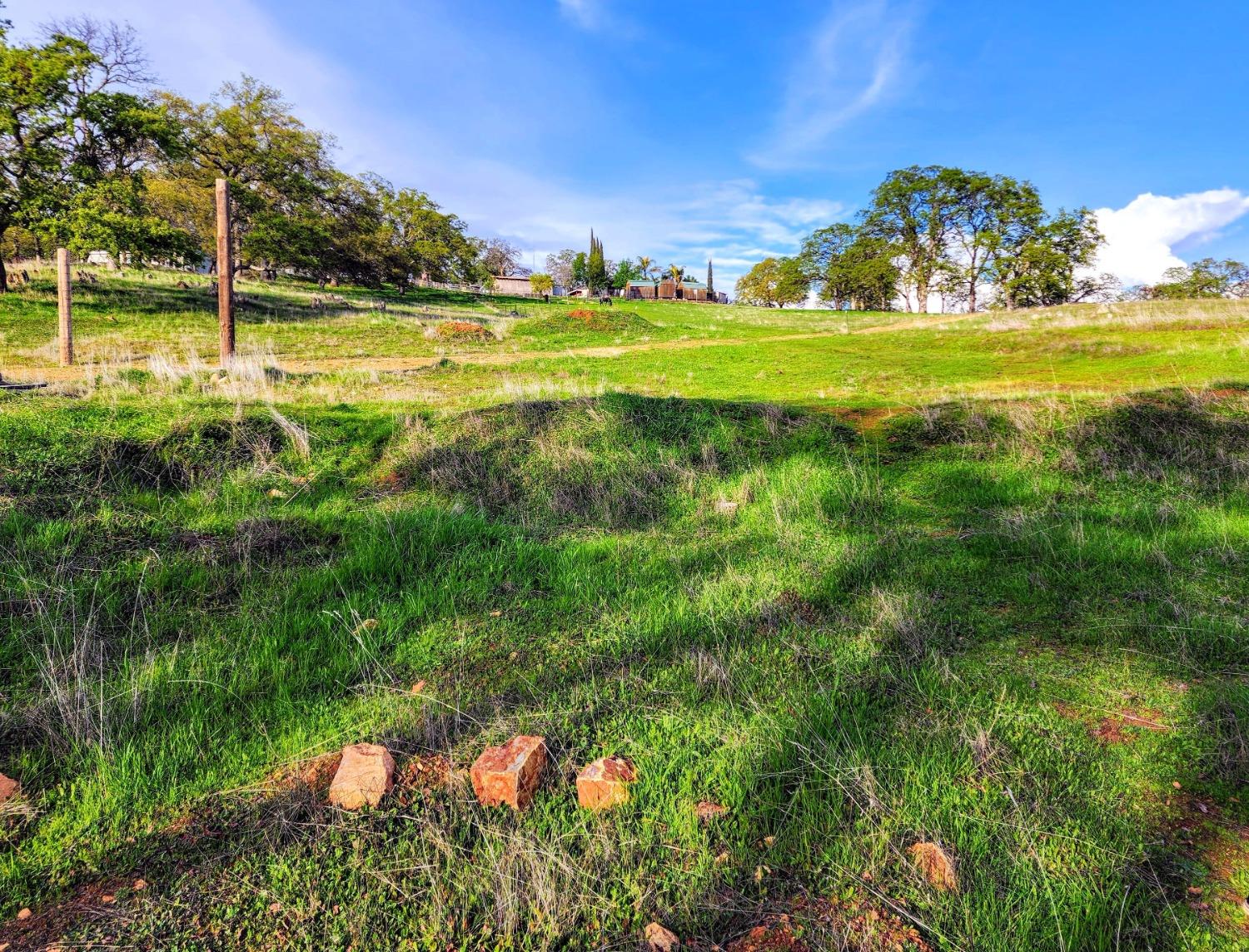 Briarwood Lane, Wheatland, California image 8