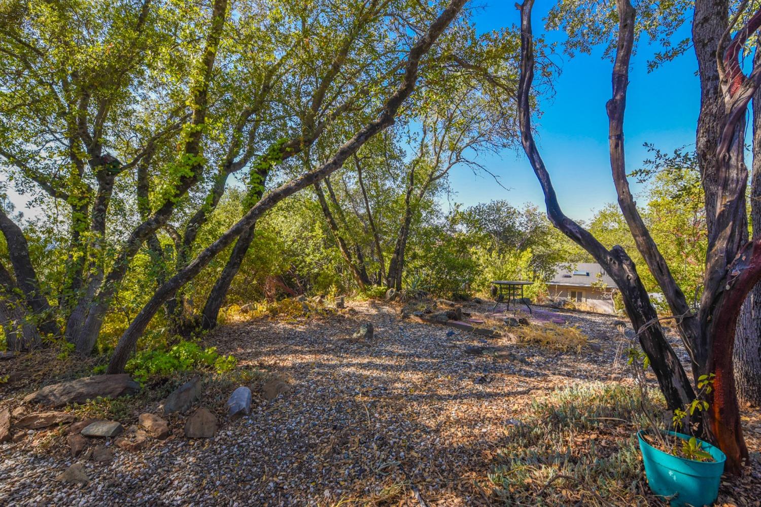 Detail Gallery Image 43 of 48 For 10155 Peppermint Cir 46, Jamestown,  CA 95327 - 2 Beds | 1 Baths