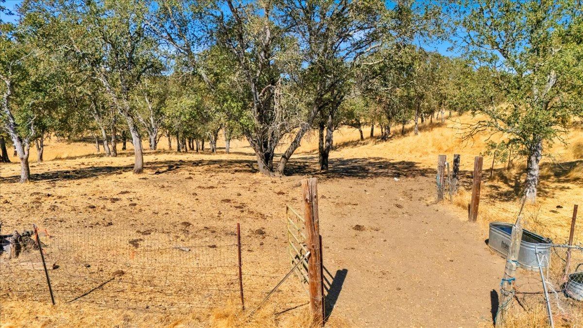 Horseshoe Lane, Copperopolis, California image 7