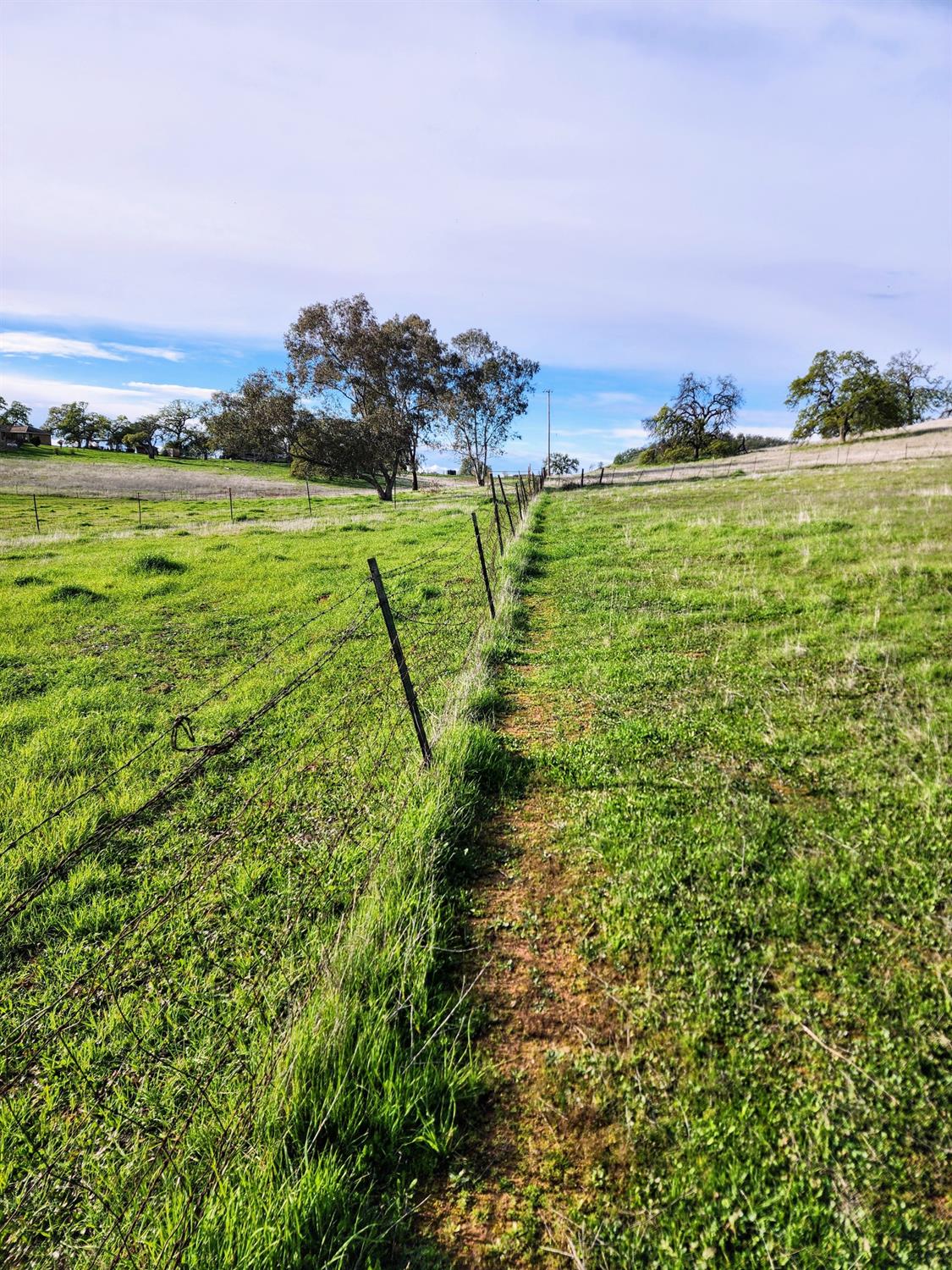 Briarwood Lane, Wheatland, California image 13