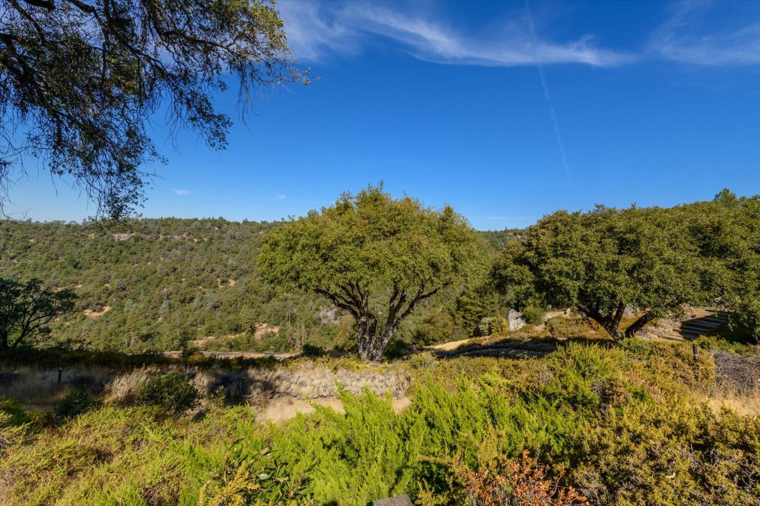 Detail Gallery Image 43 of 67 For 4080 Yosemite Pl, Placerville,  CA 95667 - 3 Beds | 2 Baths