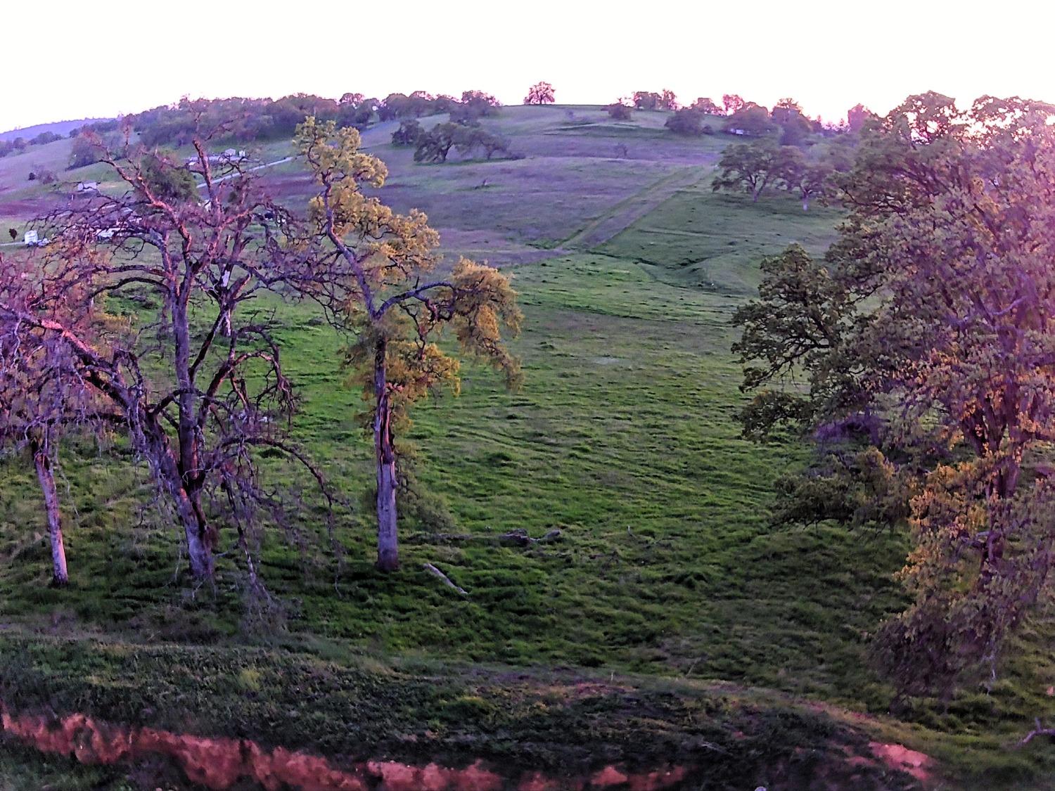 Briarwood Lane, Wheatland, California image 24