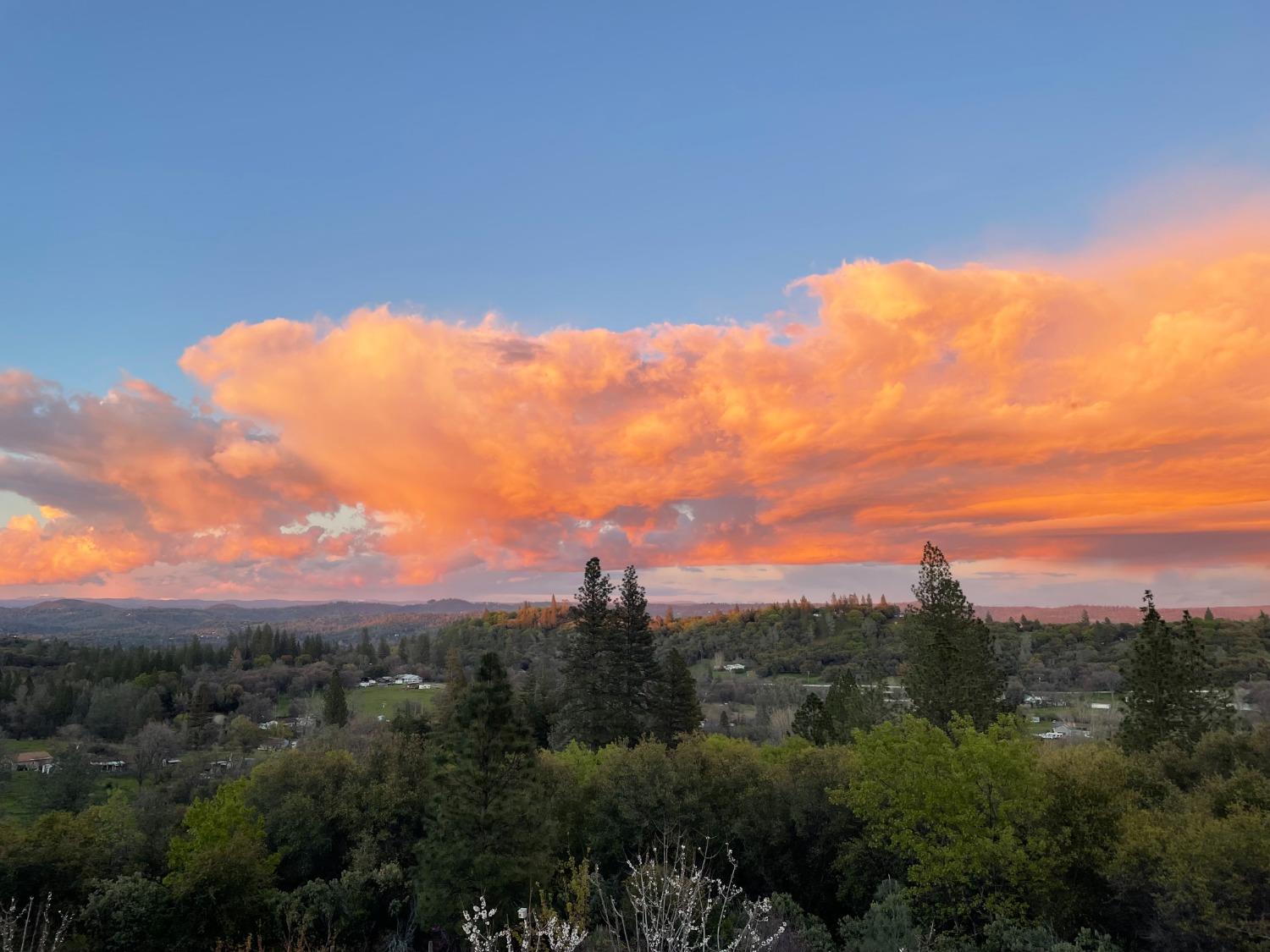 Detail Gallery Image 74 of 76 For 10698 Bell Rd, Penn Valley,  CA 95946 - 3 Beds | 2/1 Baths