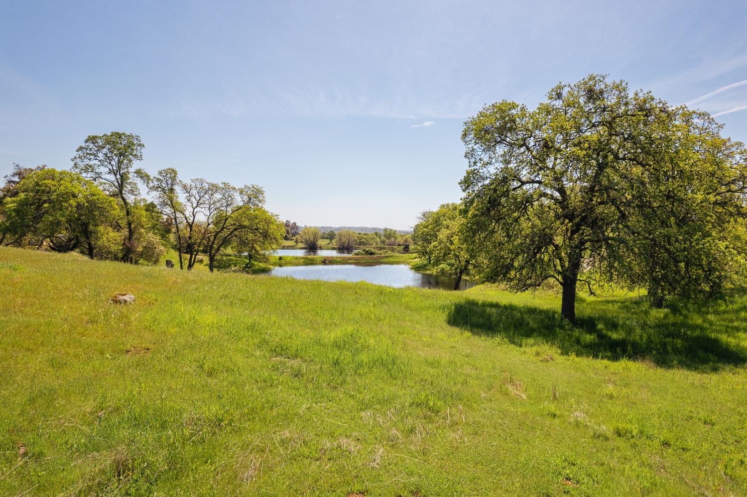 Detail Gallery Image 63 of 70 For 15215 Willow Creek Rd, Plymouth,  CA 95669 - 3 Beds | 3 Baths