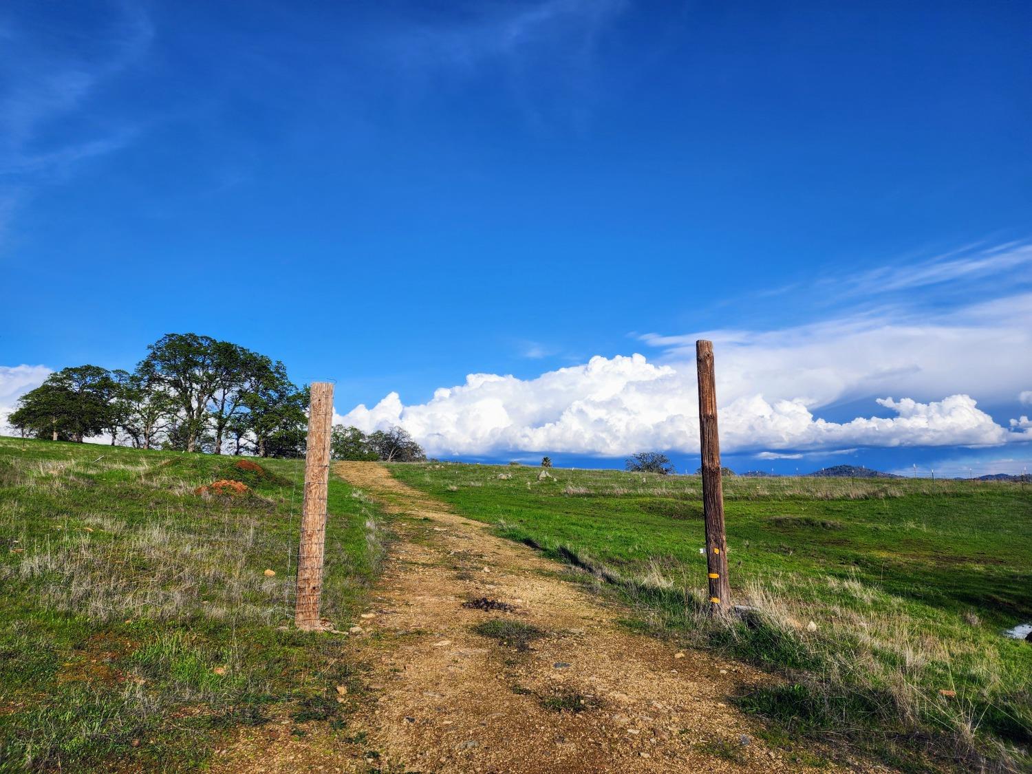 Briarwood Lane, Wheatland, California image 4