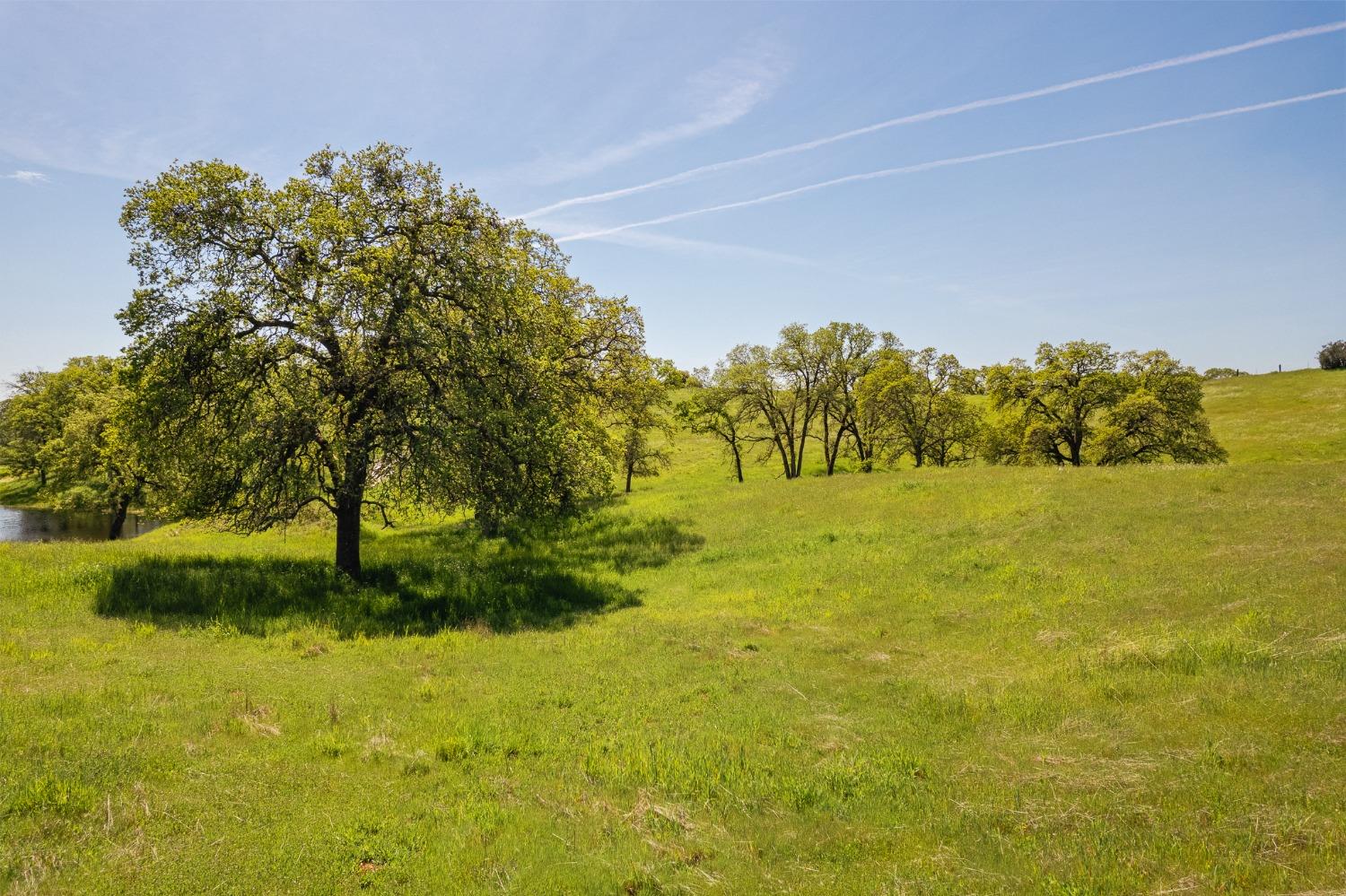 Detail Gallery Image 64 of 70 For 15215 Willow Creek Rd, Plymouth,  CA 95669 - 3 Beds | 3 Baths