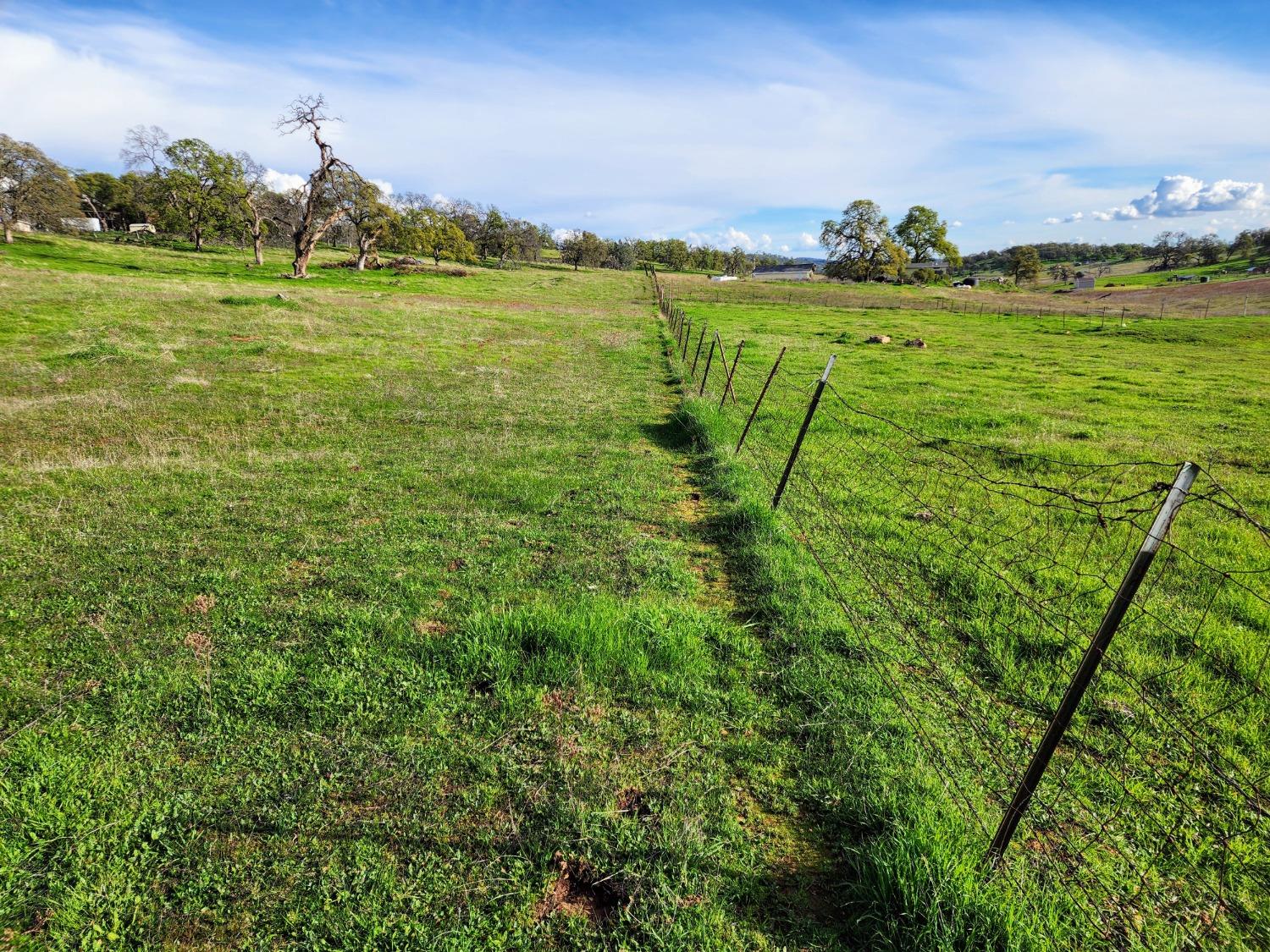 Briarwood Lane, Wheatland, California image 11