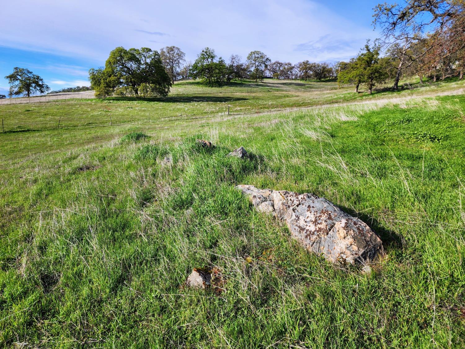 Briarwood Lane, Wheatland, California image 9