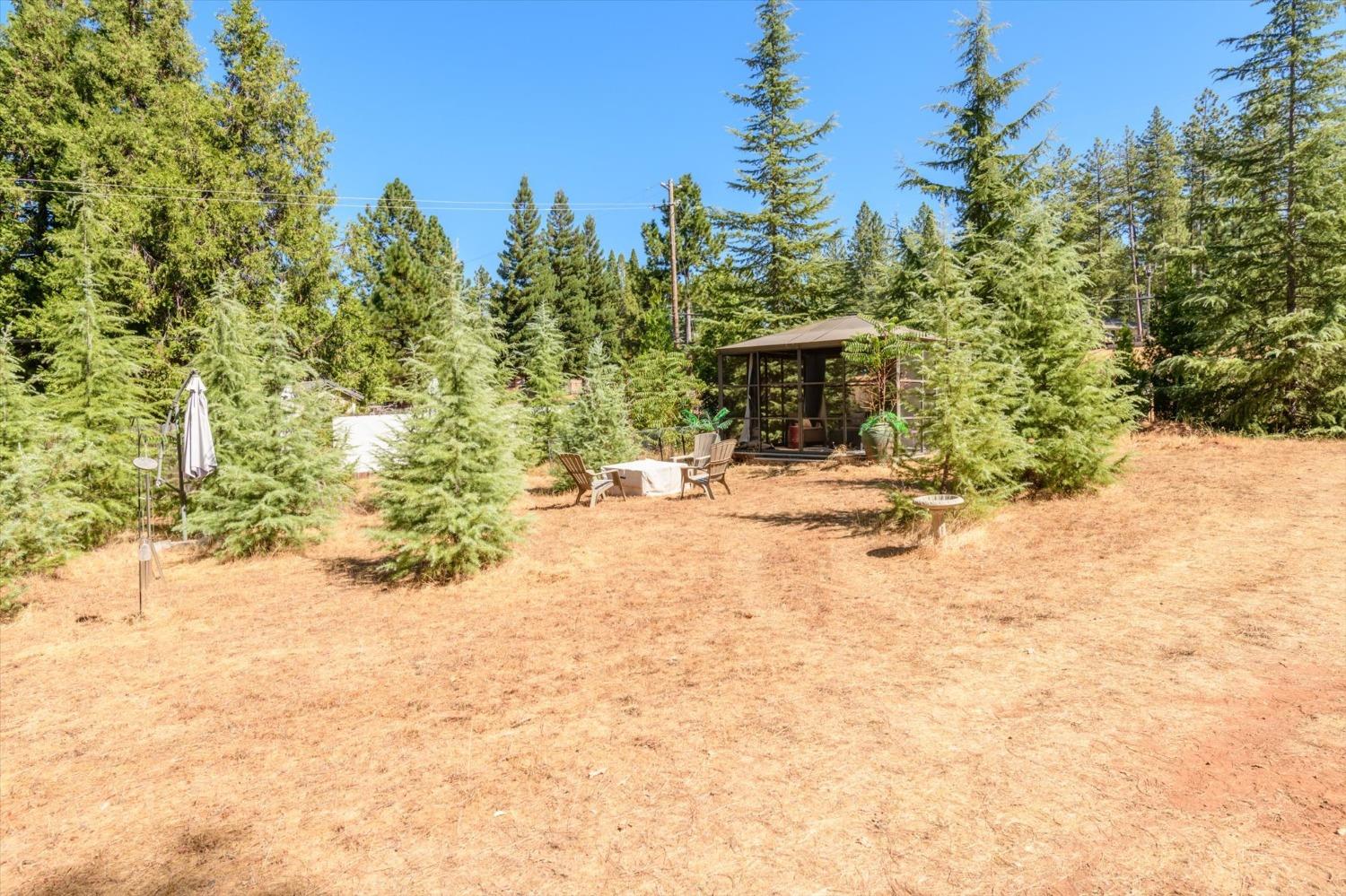 Detail Gallery Image 34 of 49 For 4480 Chaparral Dr, Placerville,  CA 95667 - 3 Beds | 2/1 Baths