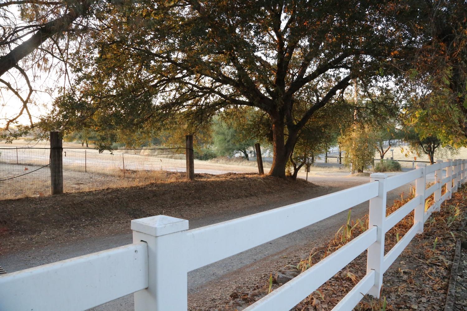 Detail Gallery Image 9 of 61 For 5726 Gold Hill Rd, Placerville,  CA 95667 - 3 Beds | 2/1 Baths