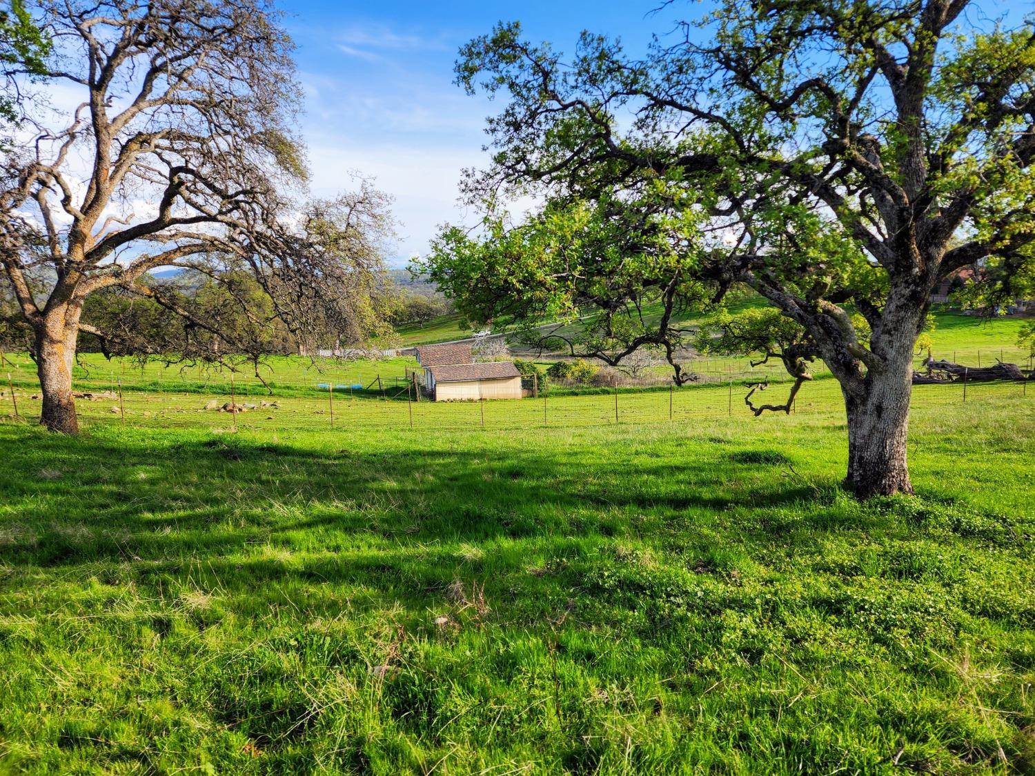 Briarwood Lane, Wheatland, California image 18