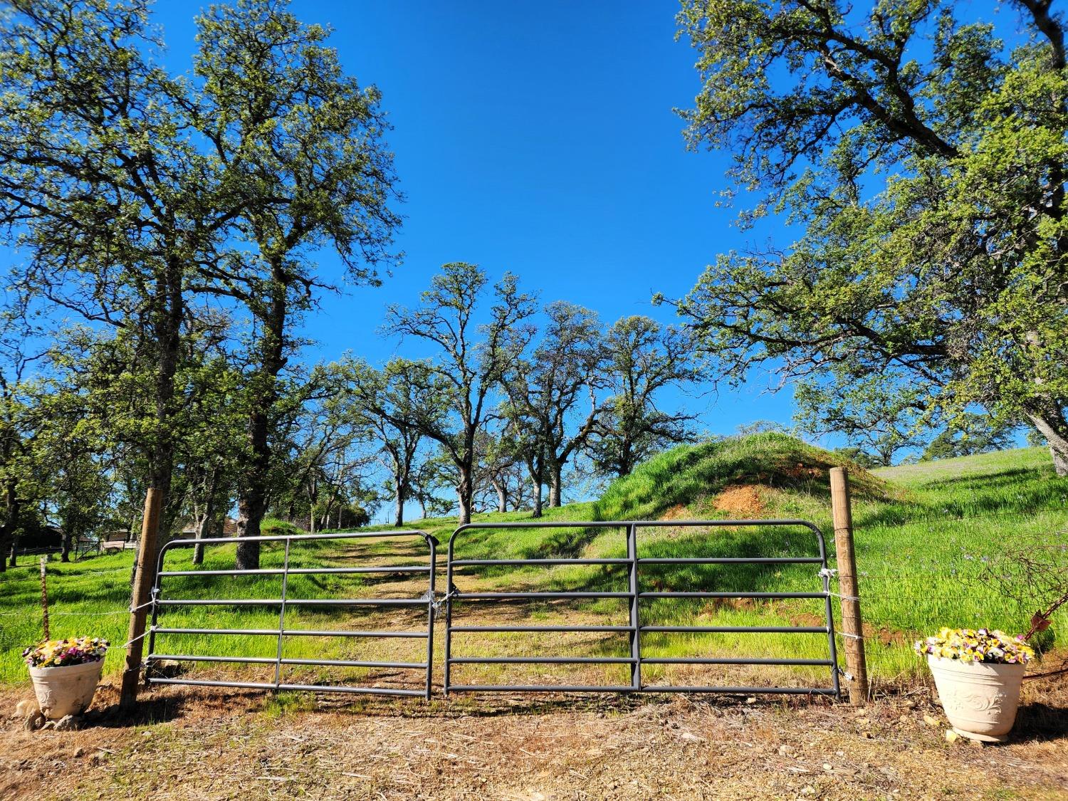 Briarwood Lane, Wheatland, California image 2