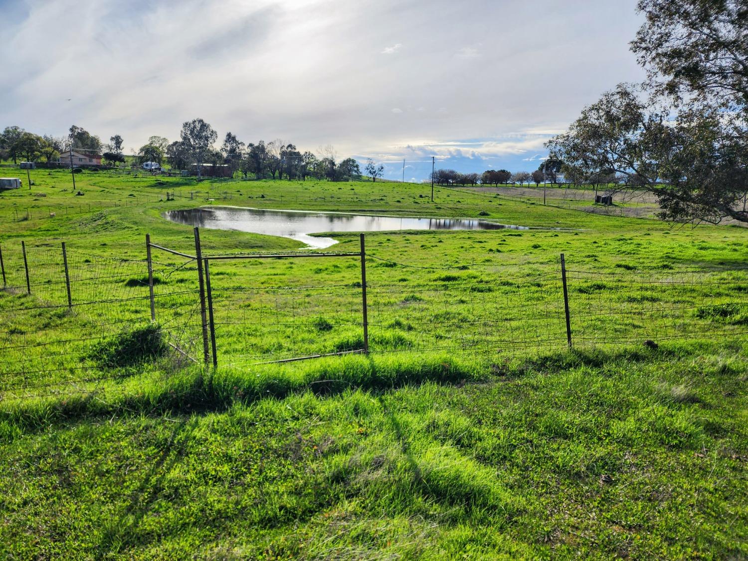 Briarwood Lane, Wheatland, California image 12