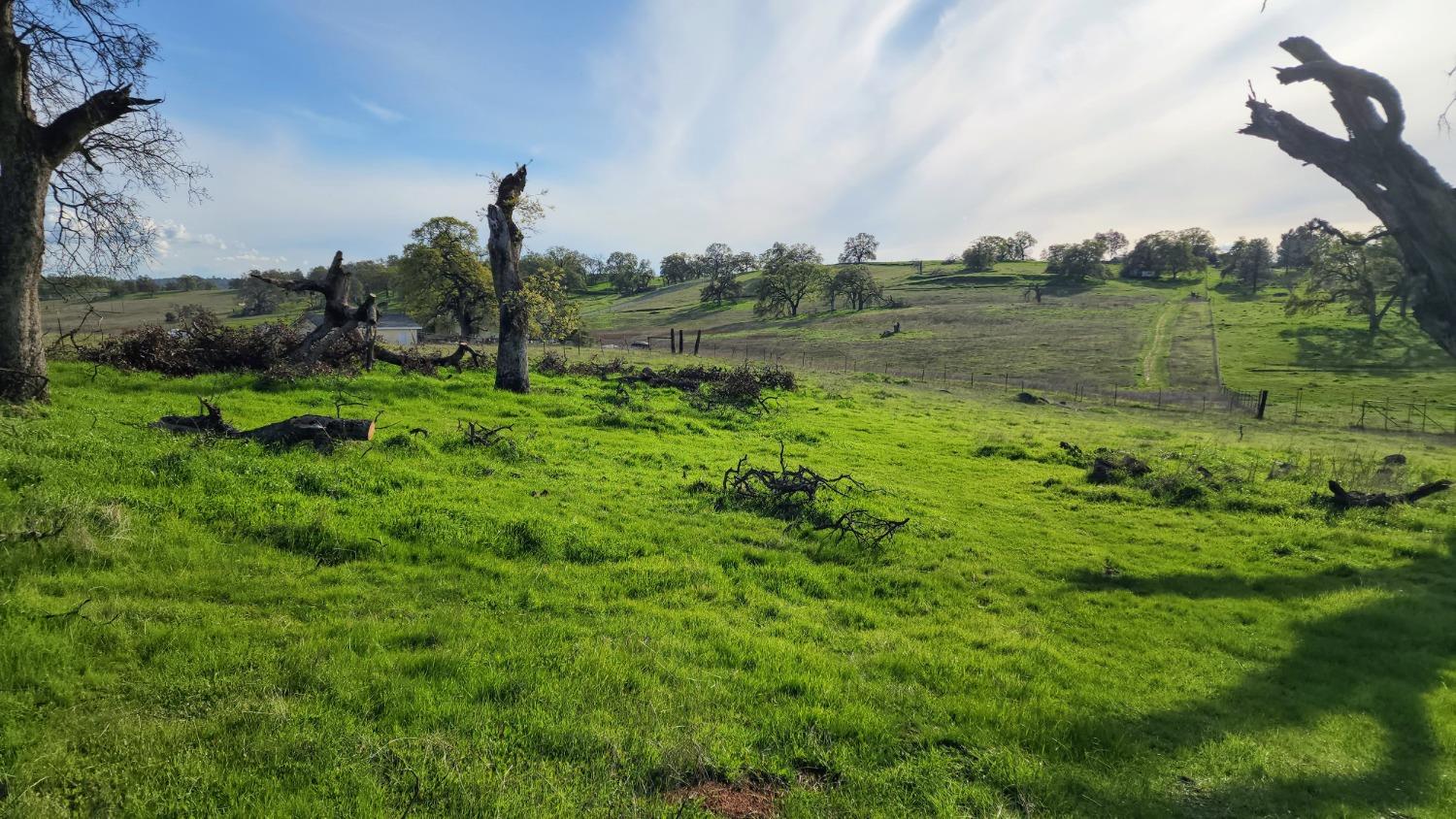 Briarwood Lane, Wheatland, California image 16