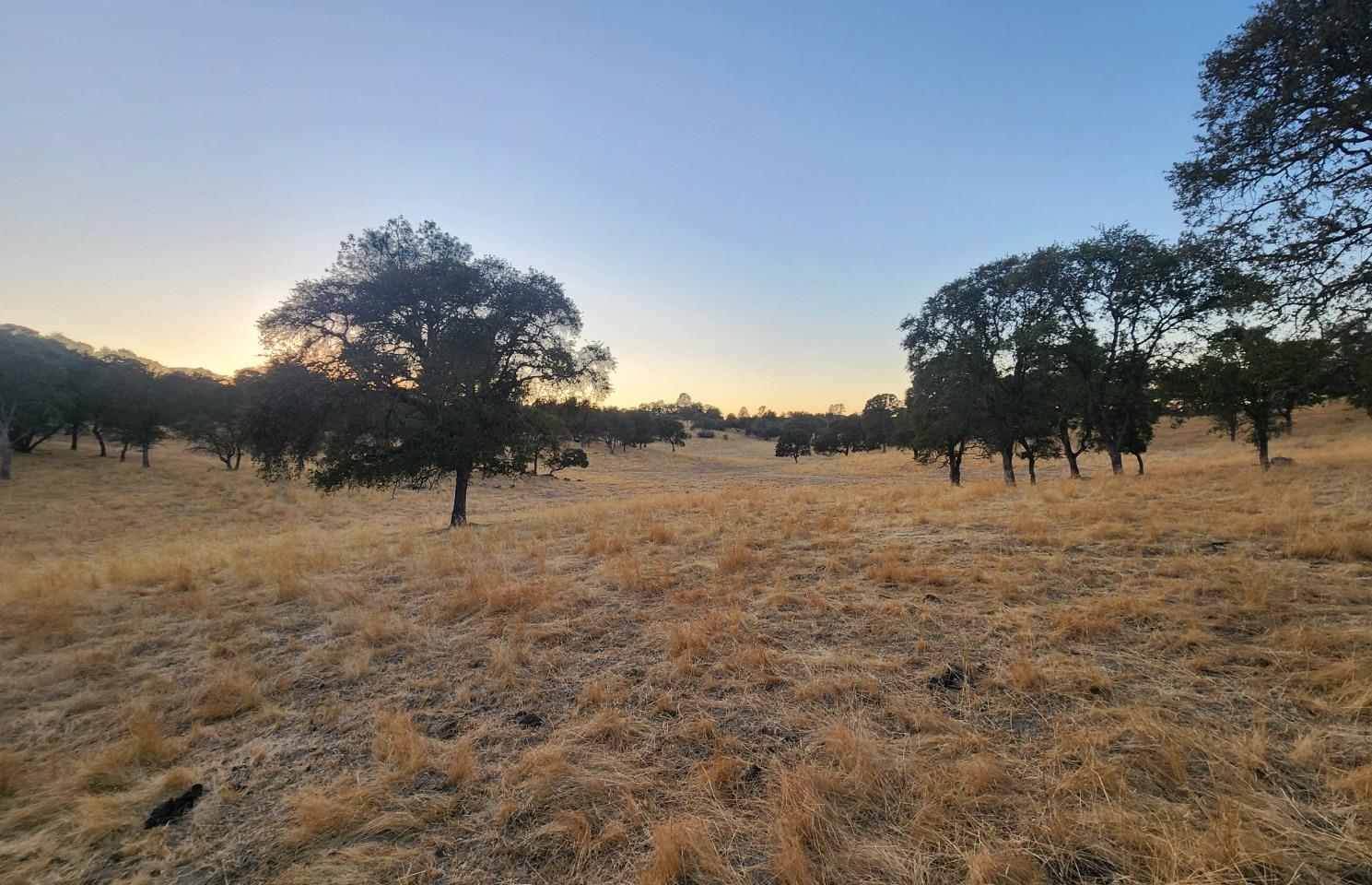 Horseshoe Lane, Copperopolis, California image 11