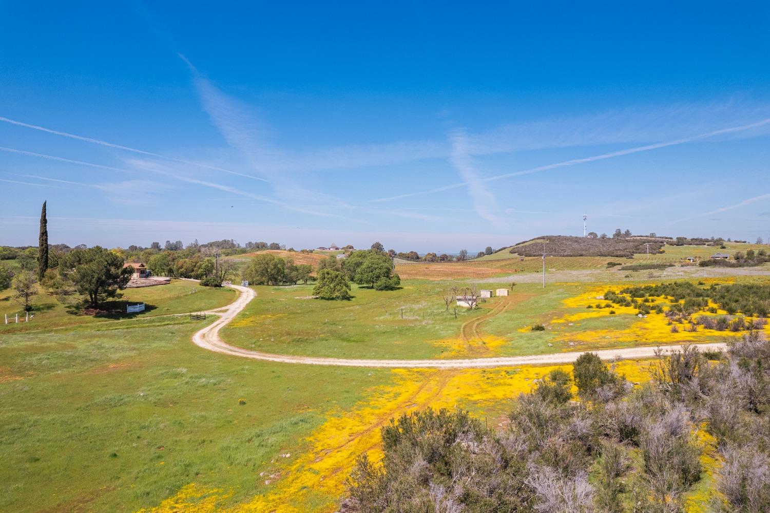 Detail Gallery Image 55 of 70 For 15215 Willow Creek Rd, Plymouth,  CA 95669 - 3 Beds | 3 Baths