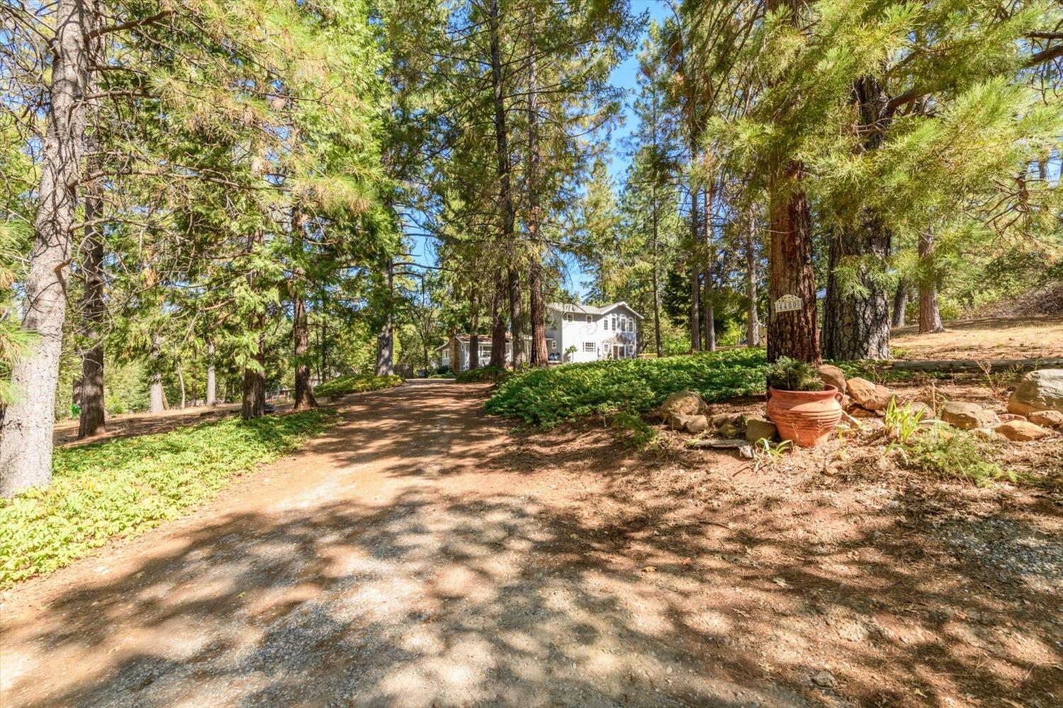 Detail Gallery Image 4 of 49 For 4480 Chaparral Dr, Placerville,  CA 95667 - 3 Beds | 2/1 Baths