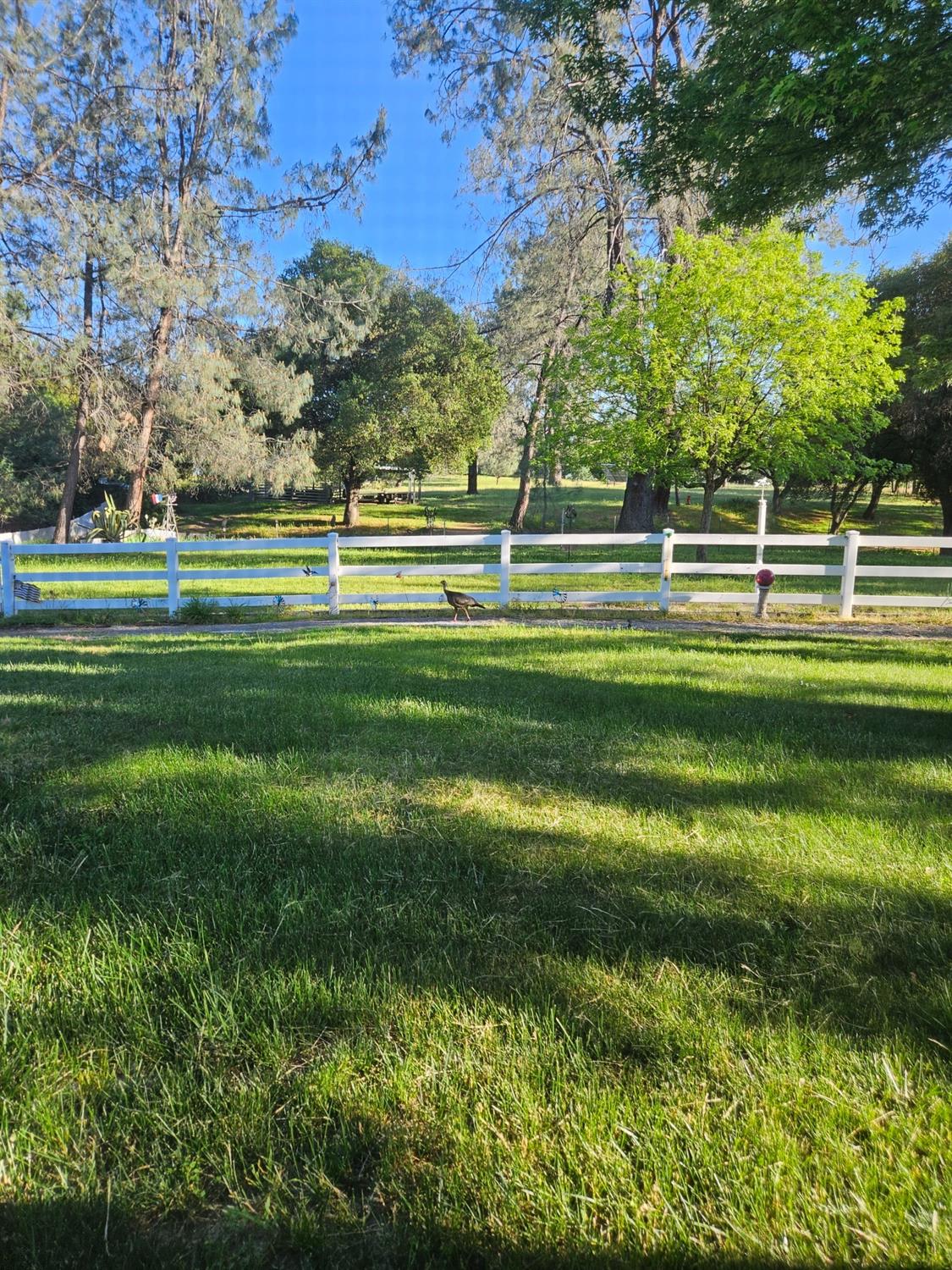 Detail Gallery Image 14 of 61 For 5726 Gold Hill Rd, Placerville,  CA 95667 - 3 Beds | 2/1 Baths