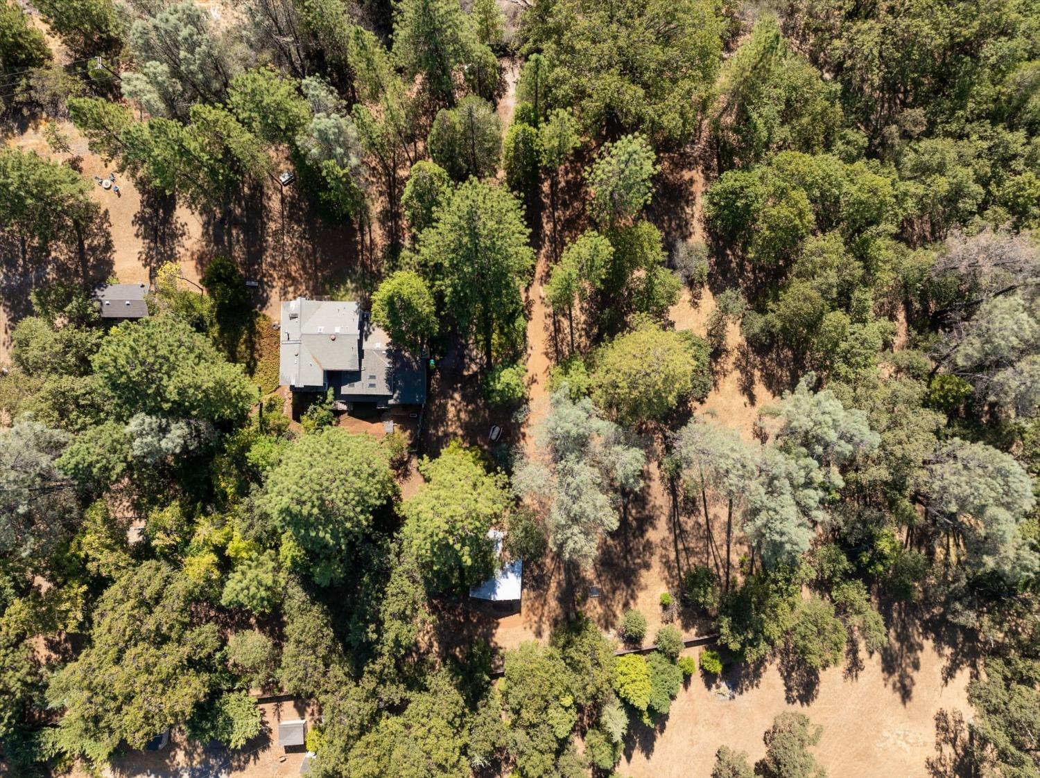 Detail Gallery Image 45 of 49 For 4480 Chaparral Dr, Placerville,  CA 95667 - 3 Beds | 2/1 Baths