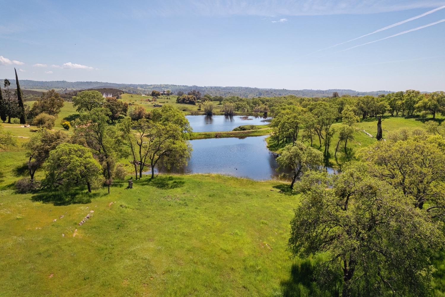 Detail Gallery Image 62 of 70 For 15215 Willow Creek Rd, Plymouth,  CA 95669 - 3 Beds | 3 Baths