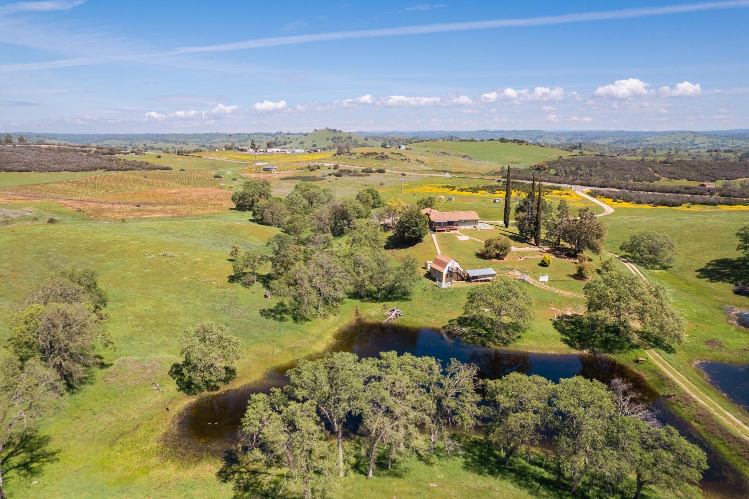 Detail Gallery Image 59 of 70 For 15215 Willow Creek Rd, Plymouth,  CA 95669 - 3 Beds | 3 Baths