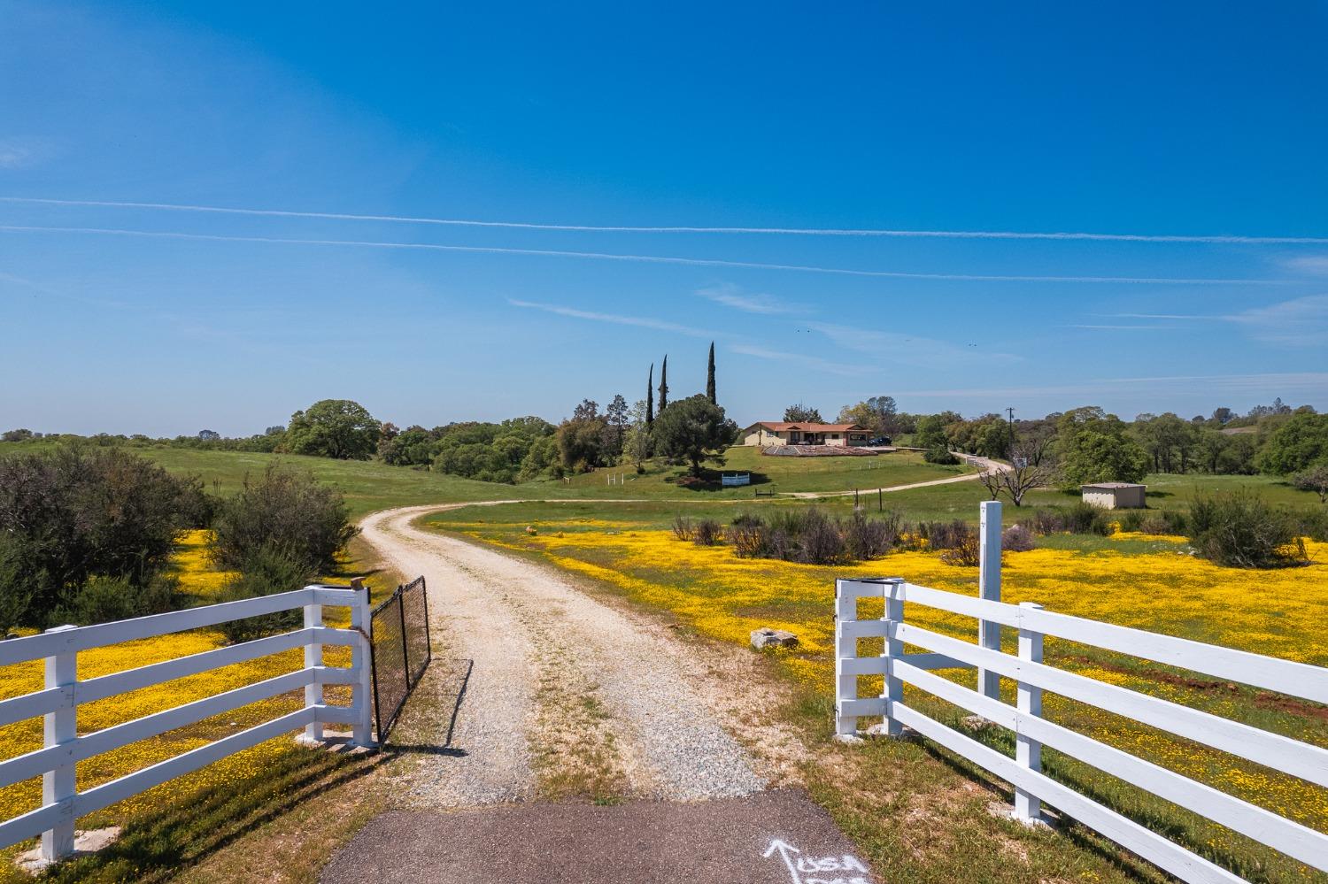 Willow Creek Road, Plymouth, California image 4