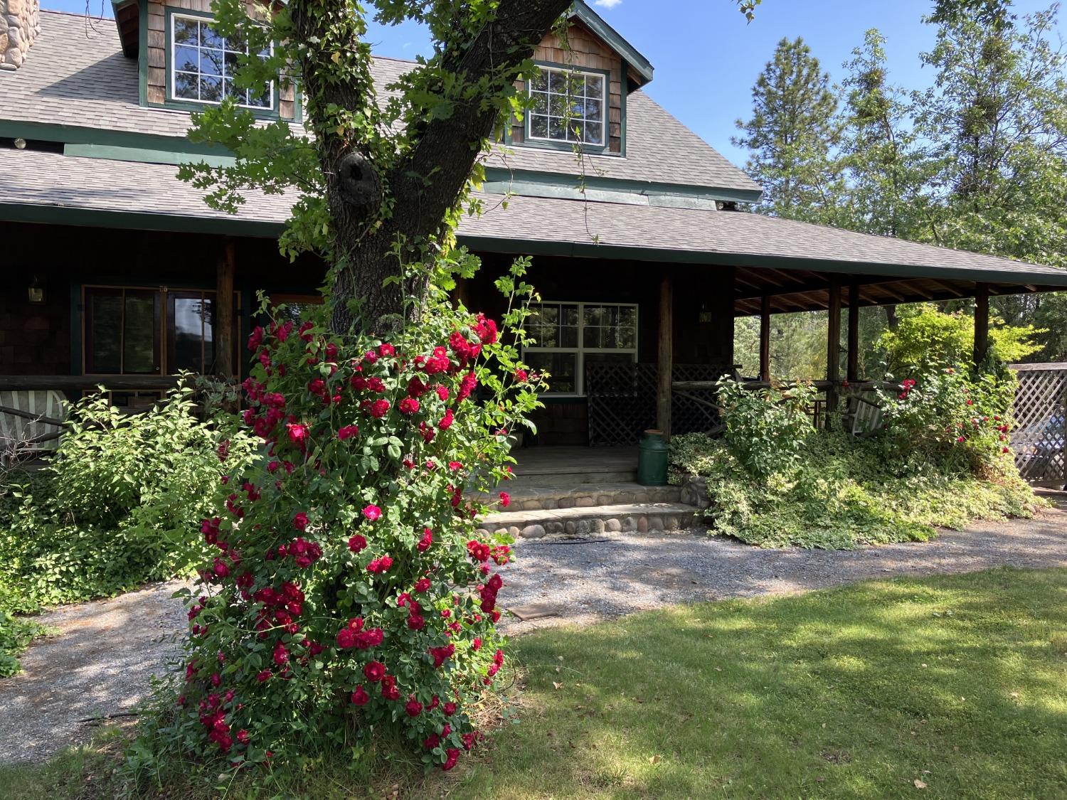 Boole Road, Applegate, California image 1