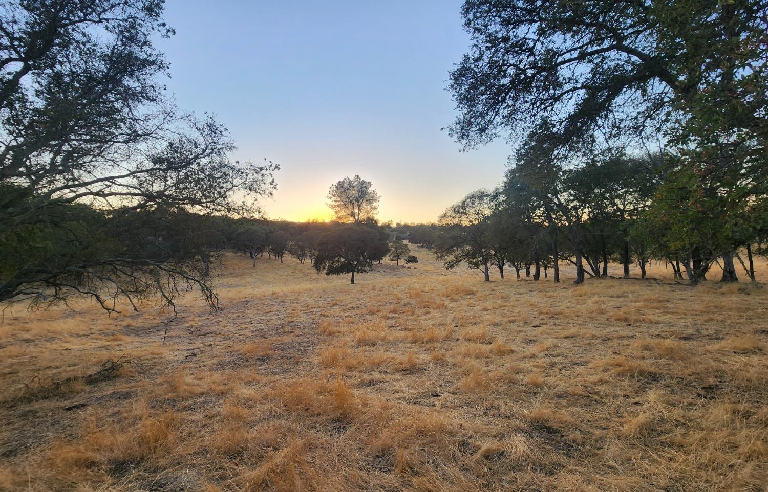 Horseshoe Lane, Copperopolis, California image 10