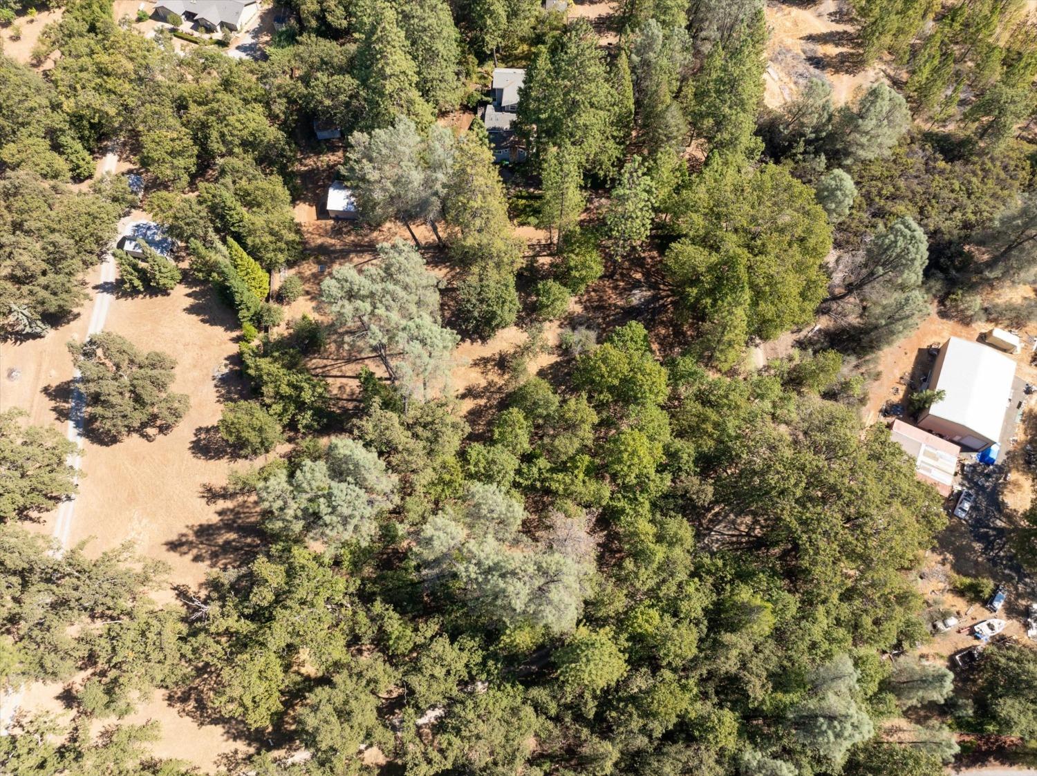 Detail Gallery Image 43 of 49 For 4480 Chaparral Dr, Placerville,  CA 95667 - 3 Beds | 2/1 Baths