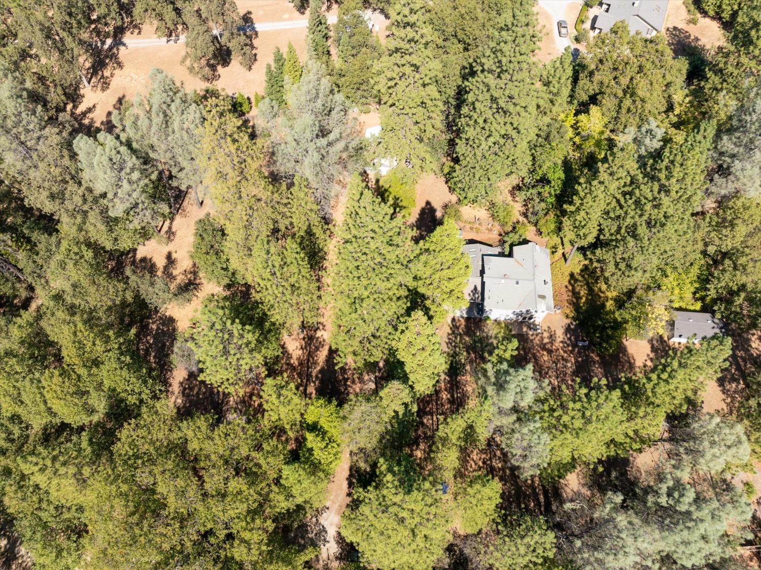 Detail Gallery Image 42 of 49 For 4480 Chaparral Dr, Placerville,  CA 95667 - 3 Beds | 2/1 Baths