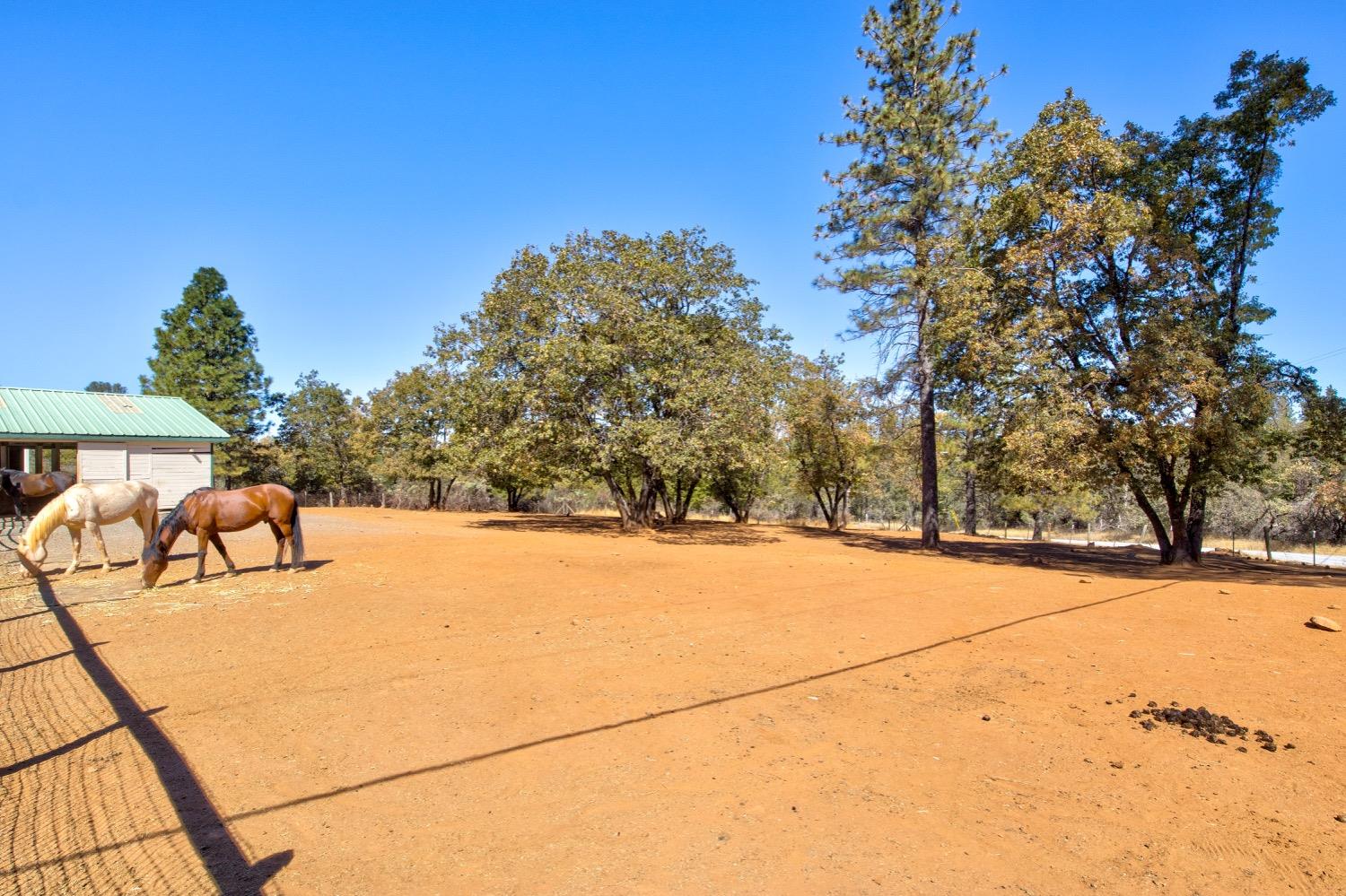 Detail Gallery Image 65 of 90 For 4780 Falstaff Rd, Greenwood,  CA 95635 - 3 Beds | 2 Baths