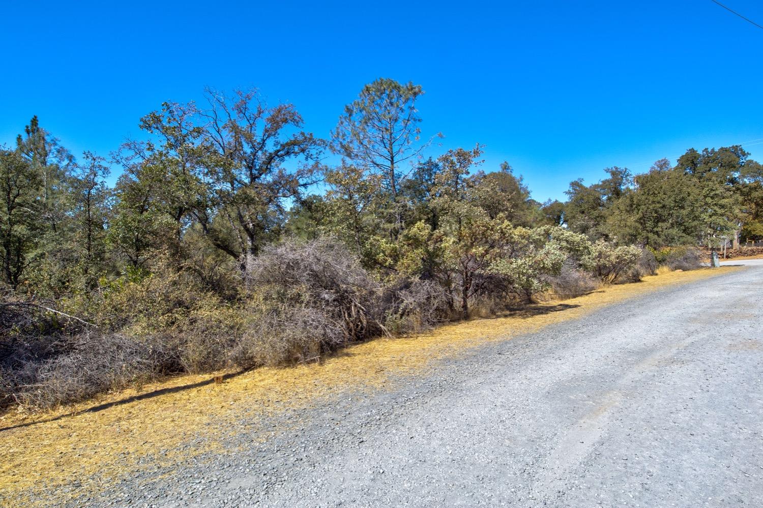 Detail Gallery Image 75 of 90 For 4780 Falstaff Rd, Greenwood,  CA 95635 - 3 Beds | 2 Baths