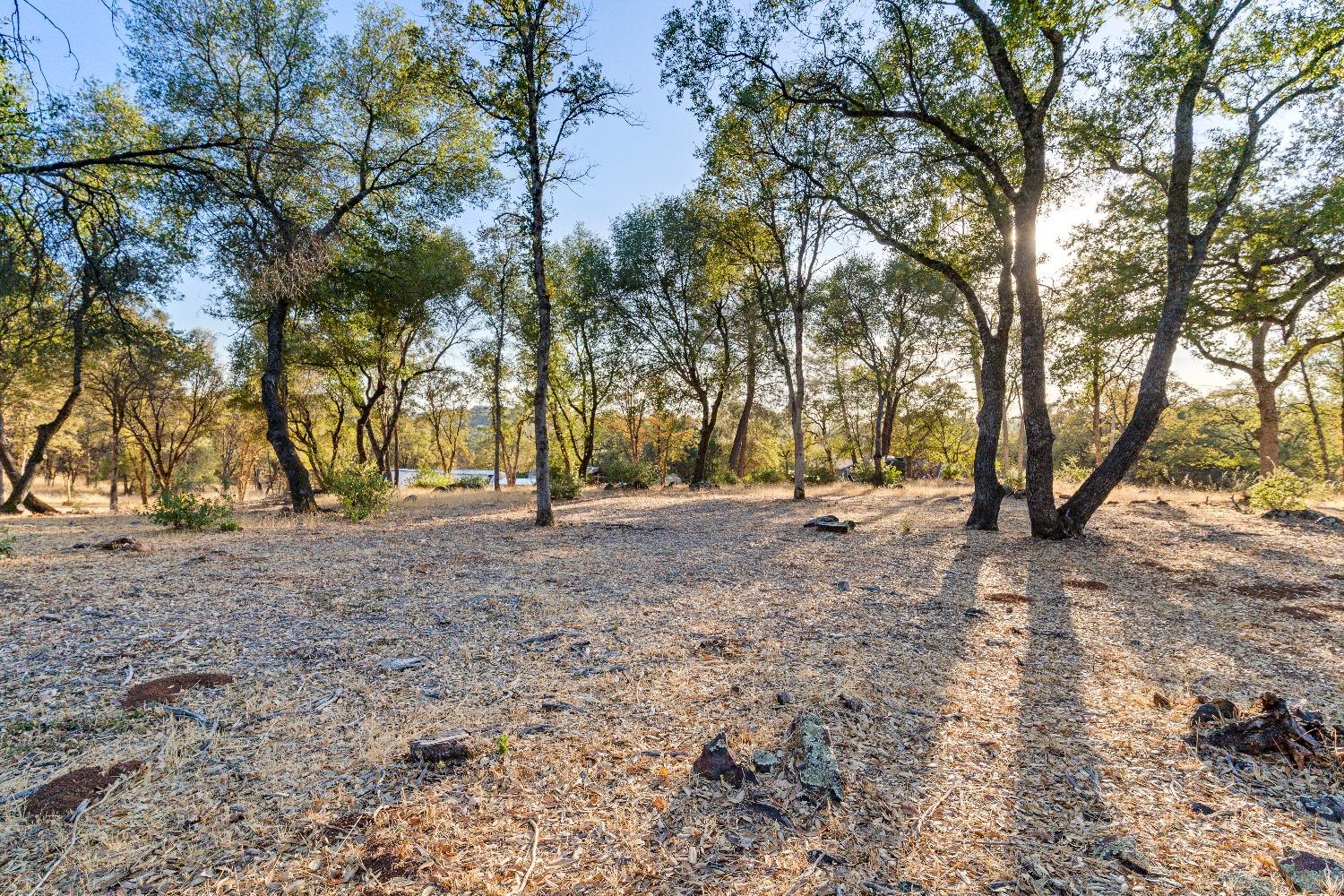 Detail Gallery Image 23 of 32 For 14288 Burlington Pkwy, Penn Valley,  CA 95946 - 3 Beds | 2 Baths