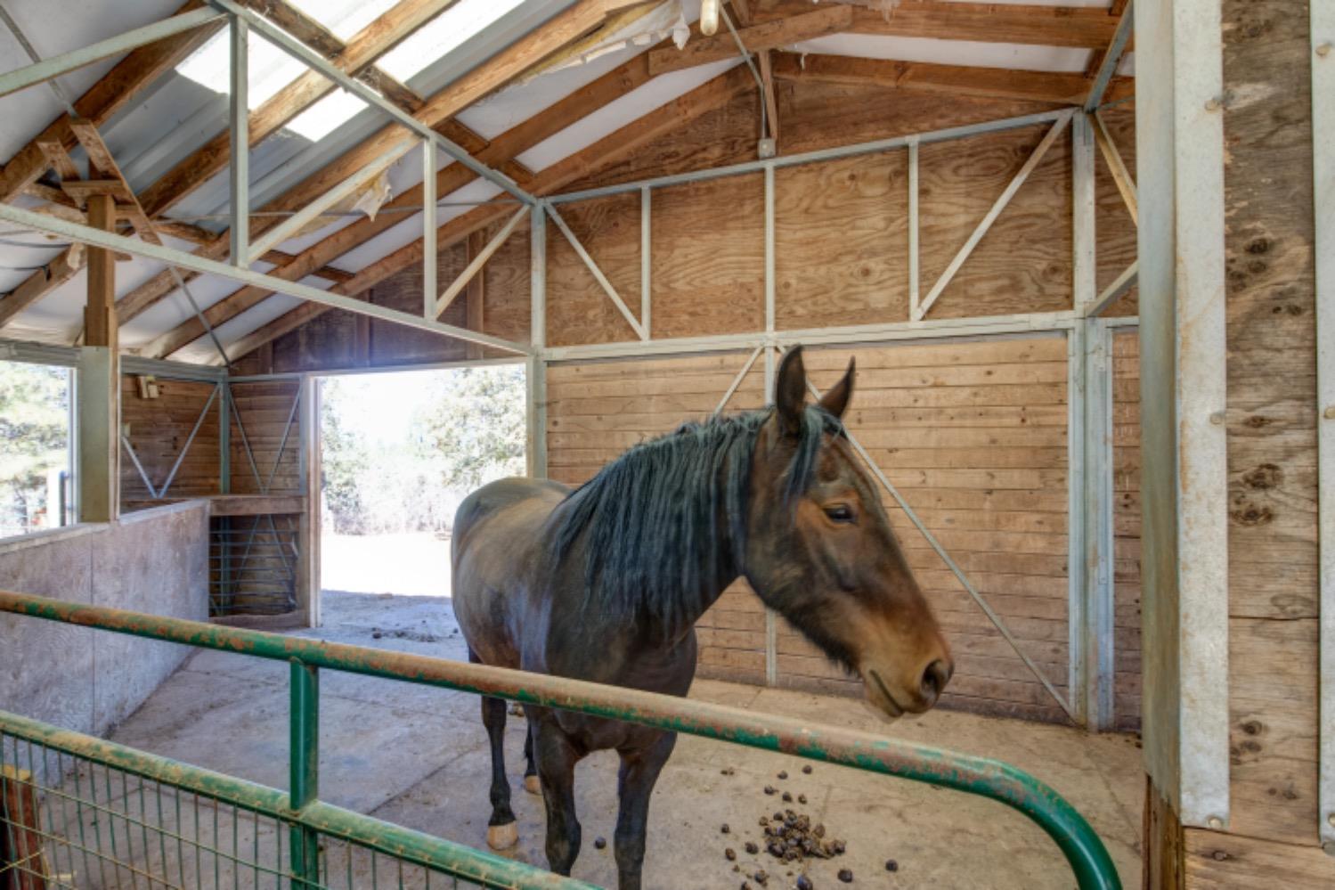 Detail Gallery Image 63 of 90 For 4780 Falstaff Rd, Greenwood,  CA 95635 - 3 Beds | 2 Baths