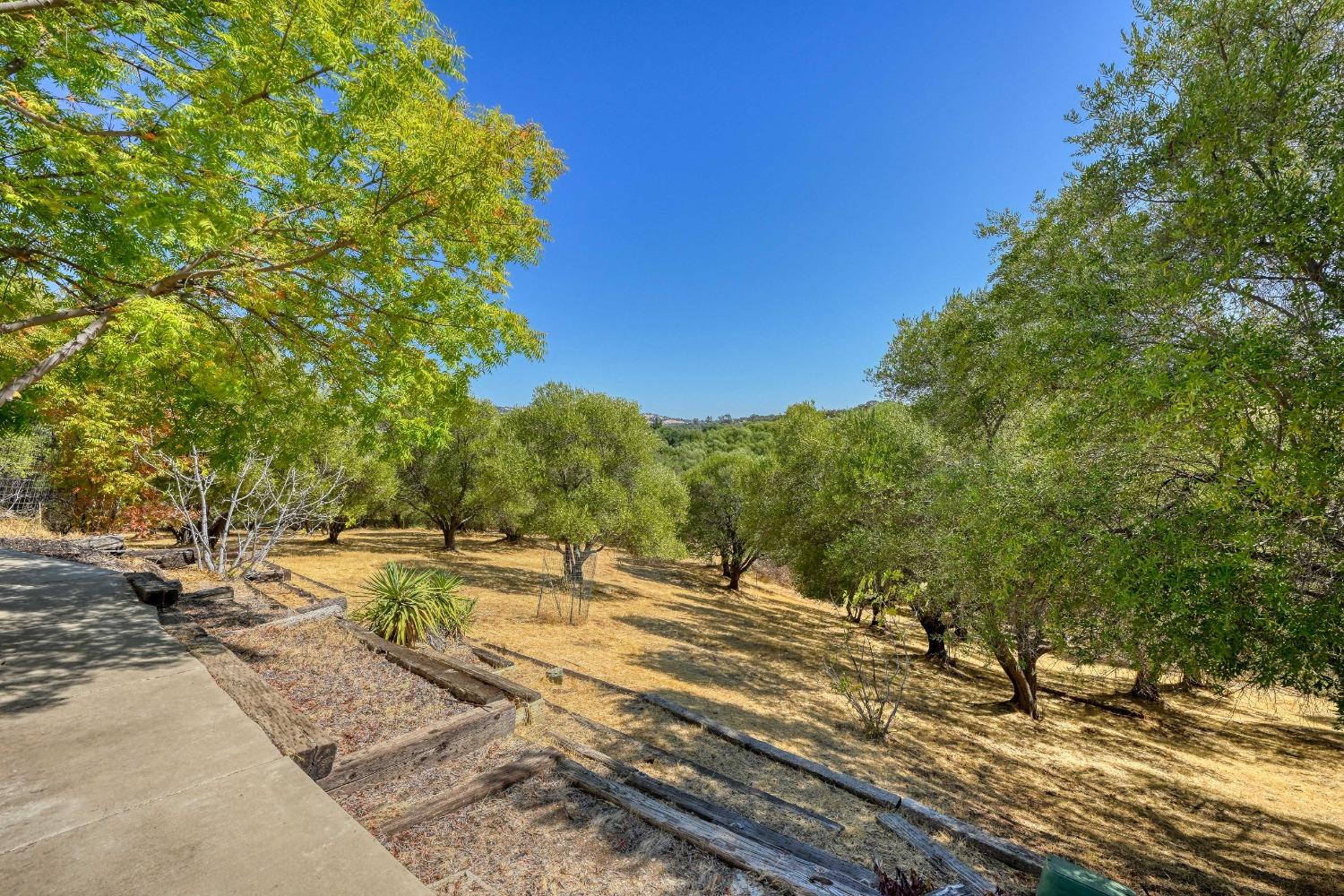 Detail Gallery Image 46 of 68 For 6345 Oakhurst Way, Newcastle,  CA 95658 - 6 Beds | 4 Baths