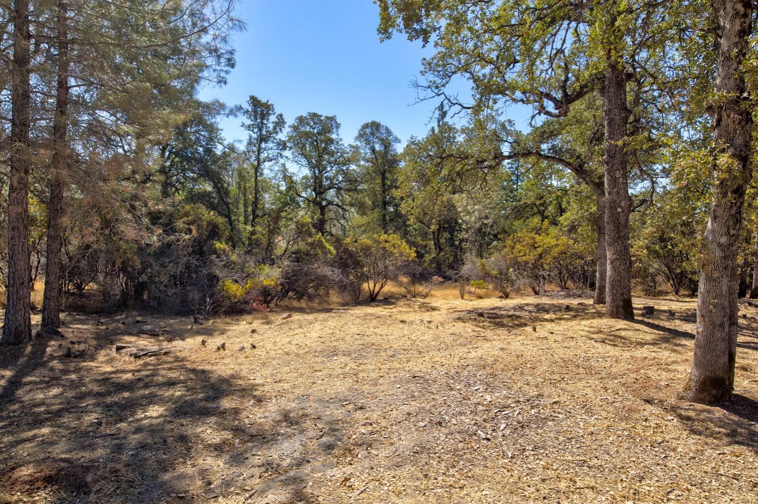 Detail Gallery Image 76 of 90 For 4780 Falstaff Rd, Greenwood,  CA 95635 - 3 Beds | 2 Baths