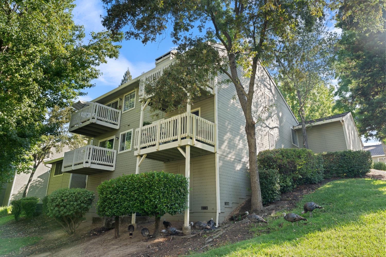 Detail Gallery Image 27 of 33 For 208 Live Oak Cir #42,  Roseville,  CA 95678 - 2 Beds | 1/1 Baths