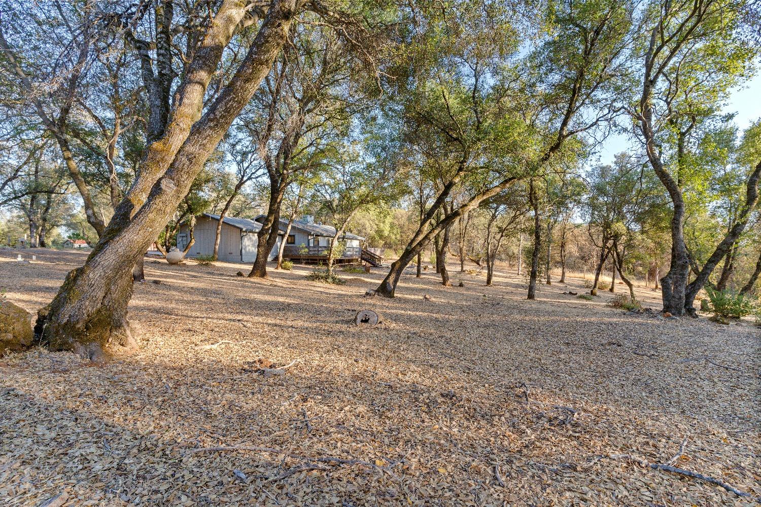 Detail Gallery Image 21 of 32 For 14288 Burlington Pkwy, Penn Valley,  CA 95946 - 3 Beds | 2 Baths