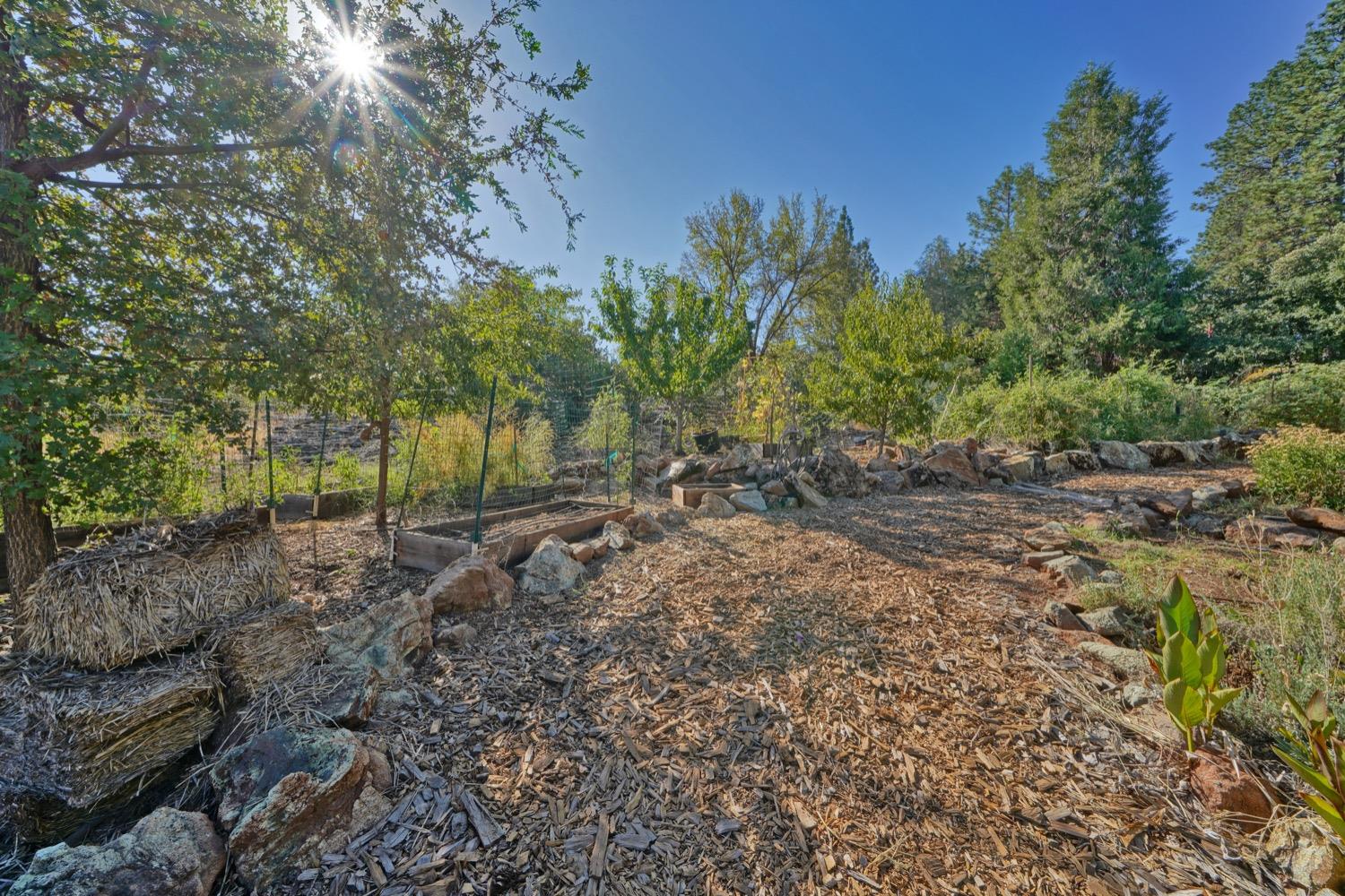 Detail Gallery Image 50 of 52 For 2599 Northridge Dr, Placerville,  CA 95667 - 4 Beds | 2/1 Baths