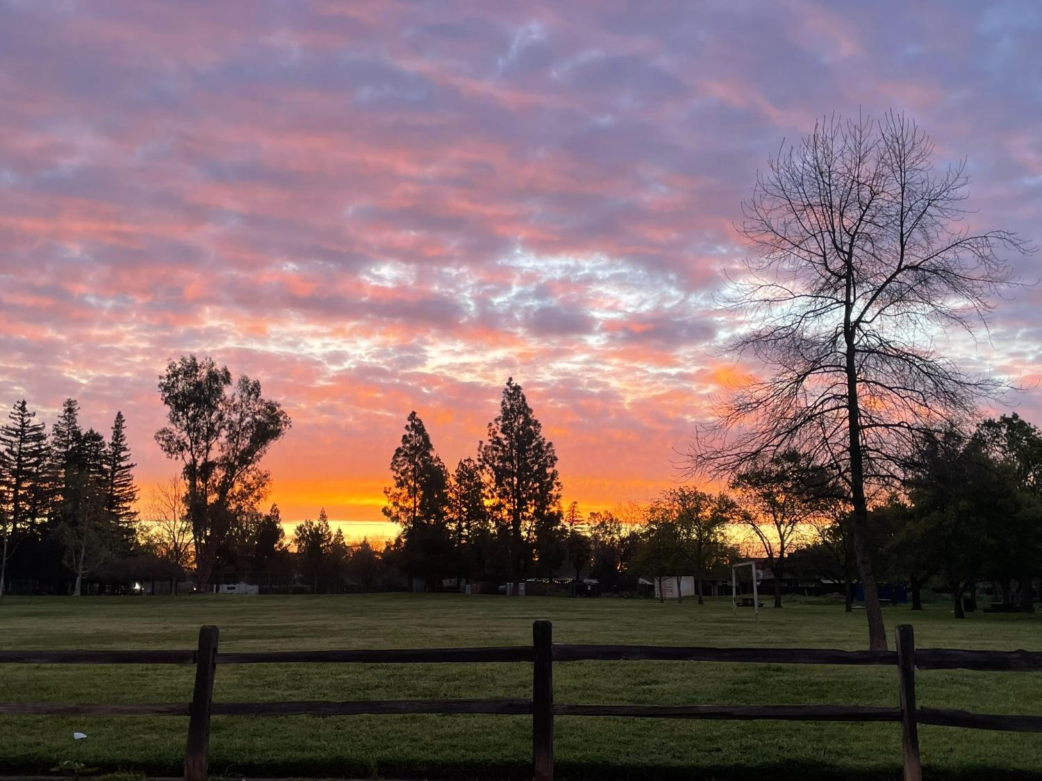 Evelyn Lane, Sacramento, California image 7