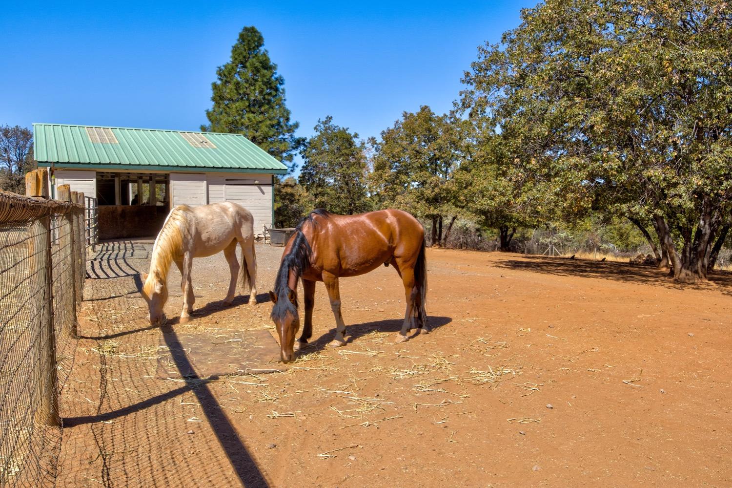 Falstaff Road, Greenwood, California image 5