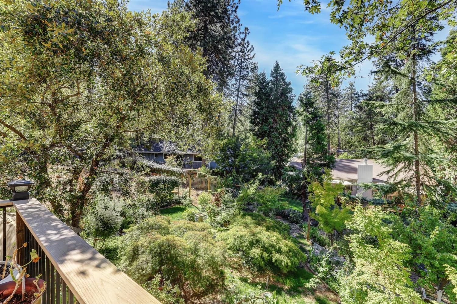 Detail Gallery Image 18 of 53 For 12252 Francis Dr, Grass Valley,  CA 95949 - 3 Beds | 2 Baths