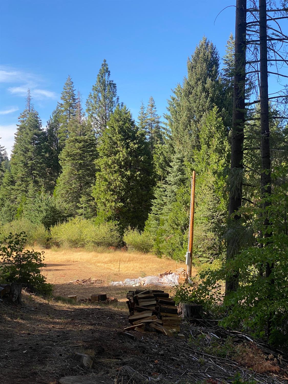 Detail Gallery Image 4 of 28 For 6 Acres Peaceful Pl, Pollock Pines,  CA 95726 - – Beds | – Baths