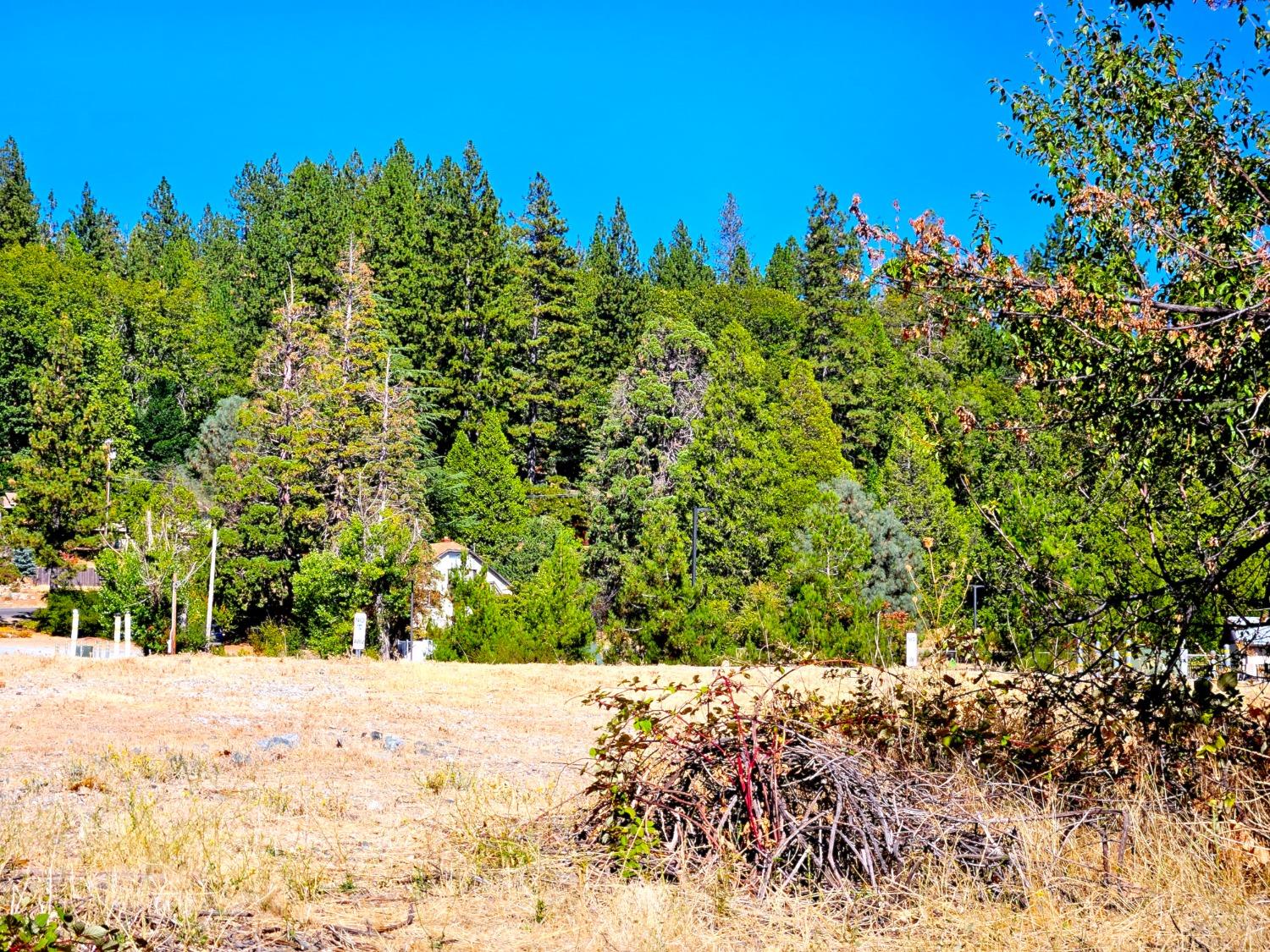 Detail Gallery Image 4 of 4 For 0 Nevada City Highway, Grass Valley,  CA 95945 - – Beds | – Baths