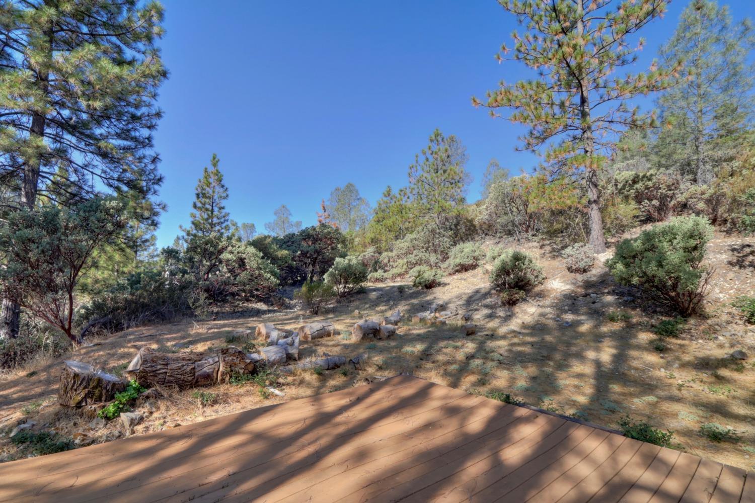 Detail Gallery Image 52 of 54 For 5310 Newtown Rd, Placerville,  CA 95667 - 4 Beds | 3 Baths