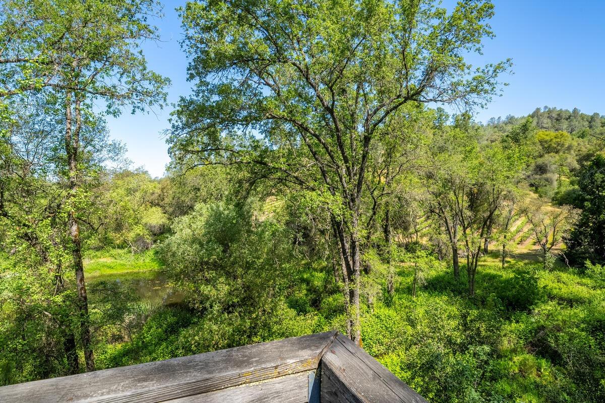 Detail Gallery Image 39 of 76 For 7903 Mount Aukum Rd, Somerset,  CA 95684 - 4 Beds | 3/4 Baths