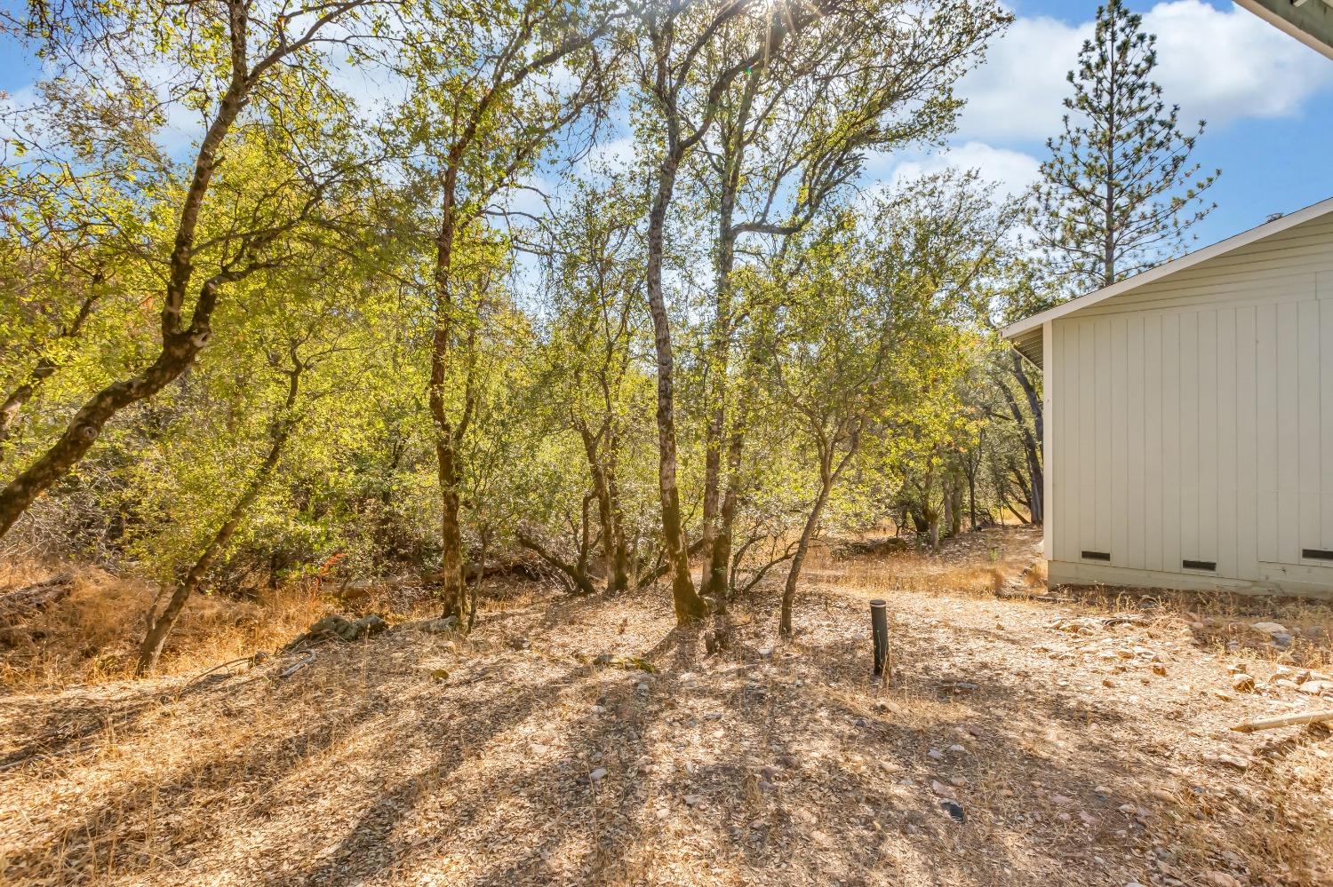 Detail Gallery Image 23 of 27 For 3021 Lansdowne Ln, Placerville,  CA 95667 - 3 Beds | 2/1 Baths